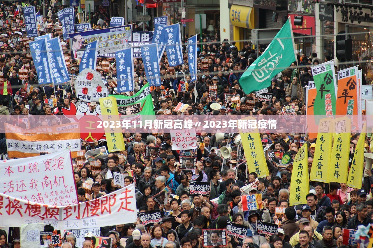 2023年11月新冠高峰〃2023年新冠疫情