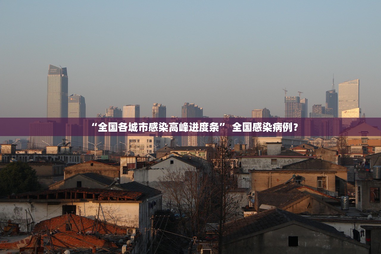 “全国各城市感染高峰进度条	” 全国感染病例？