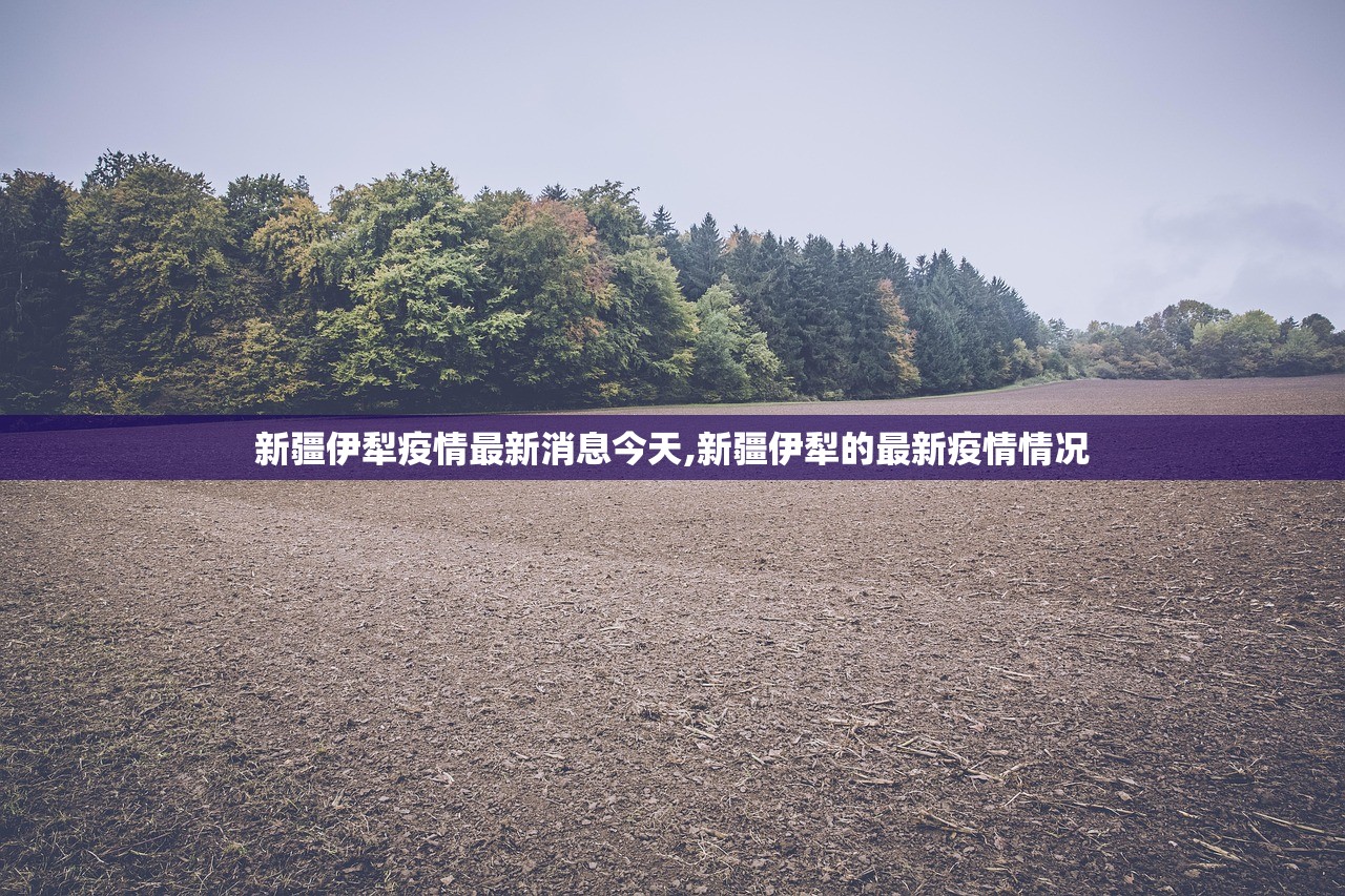 “上海新增本土确诊4例无症状51例” 上海新增5本地确诊？