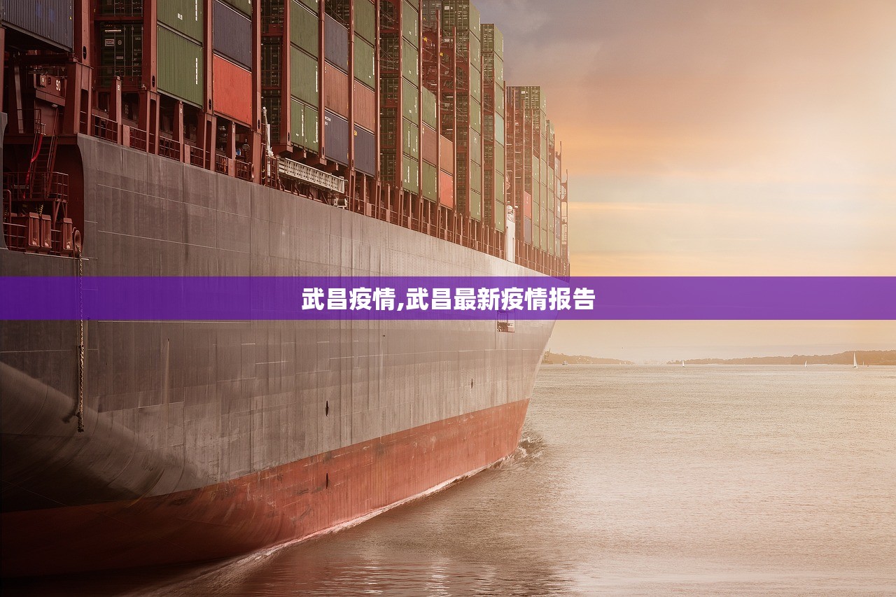 武昌疫情,武昌最新疫情报告