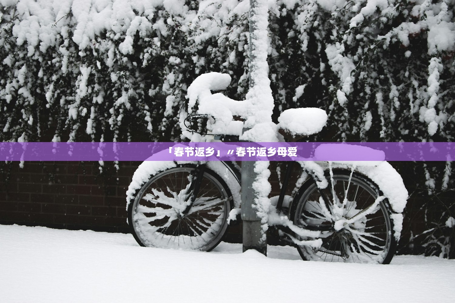 「春节返乡」〃春节返乡母爱