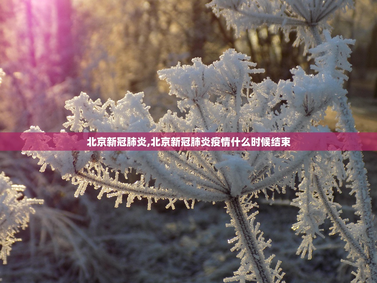 北京新冠肺炎,北京新冠肺炎疫情什么时候结束 北京新冠肺炎,北京新冠肺炎疫情什么时候结束
