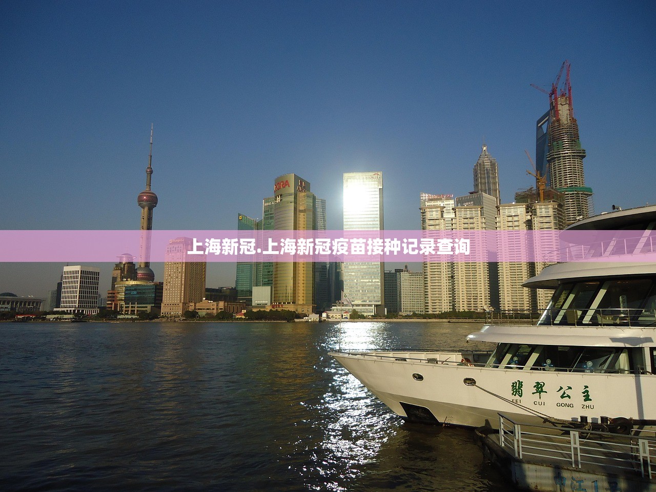 上海新冠.上海新冠疫苗接种记录查询 上海新冠.上海新冠疫苗接种记录查询