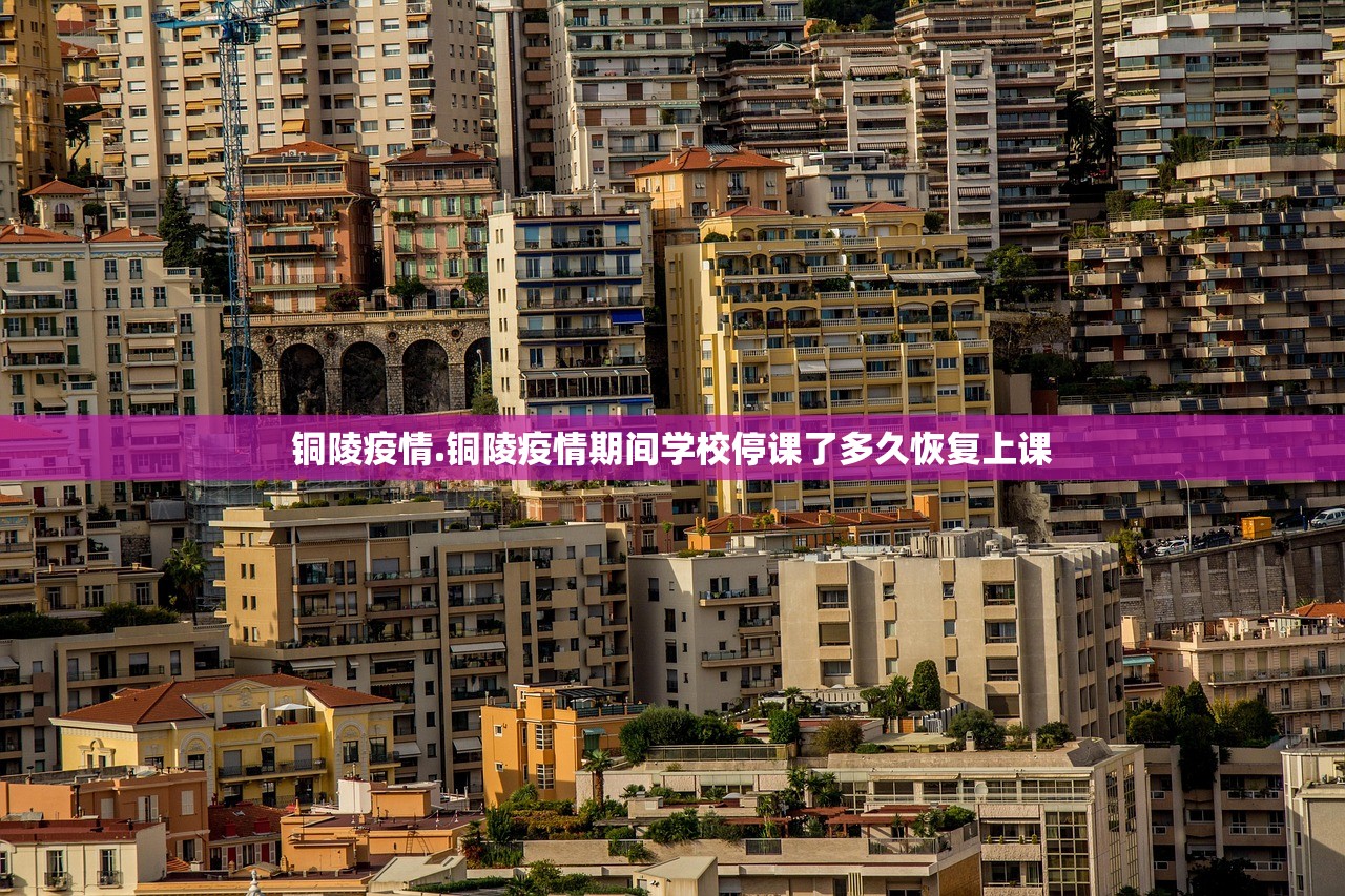 铜陵疫情.铜陵疫情期间学校停课了多久恢复上课