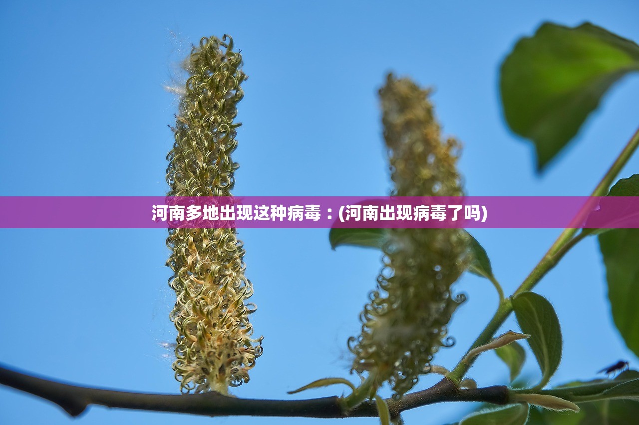 河南多地出现这种病毒︰(河南出现病毒了吗)