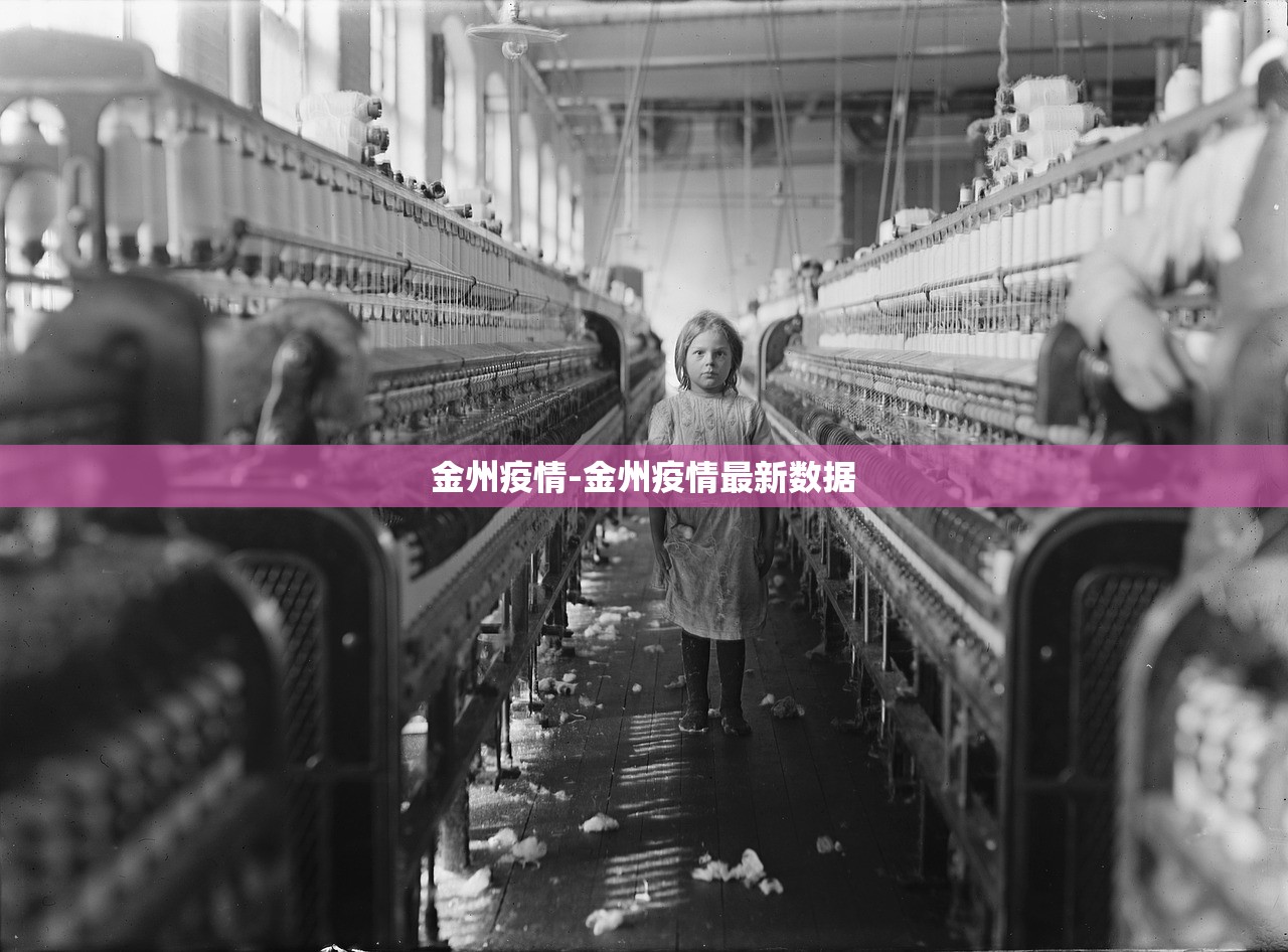 金州疫情-金州疫情最新数据