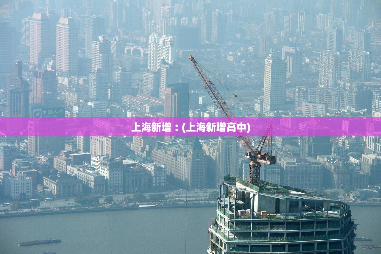 上海新增︰(上海新增高中)