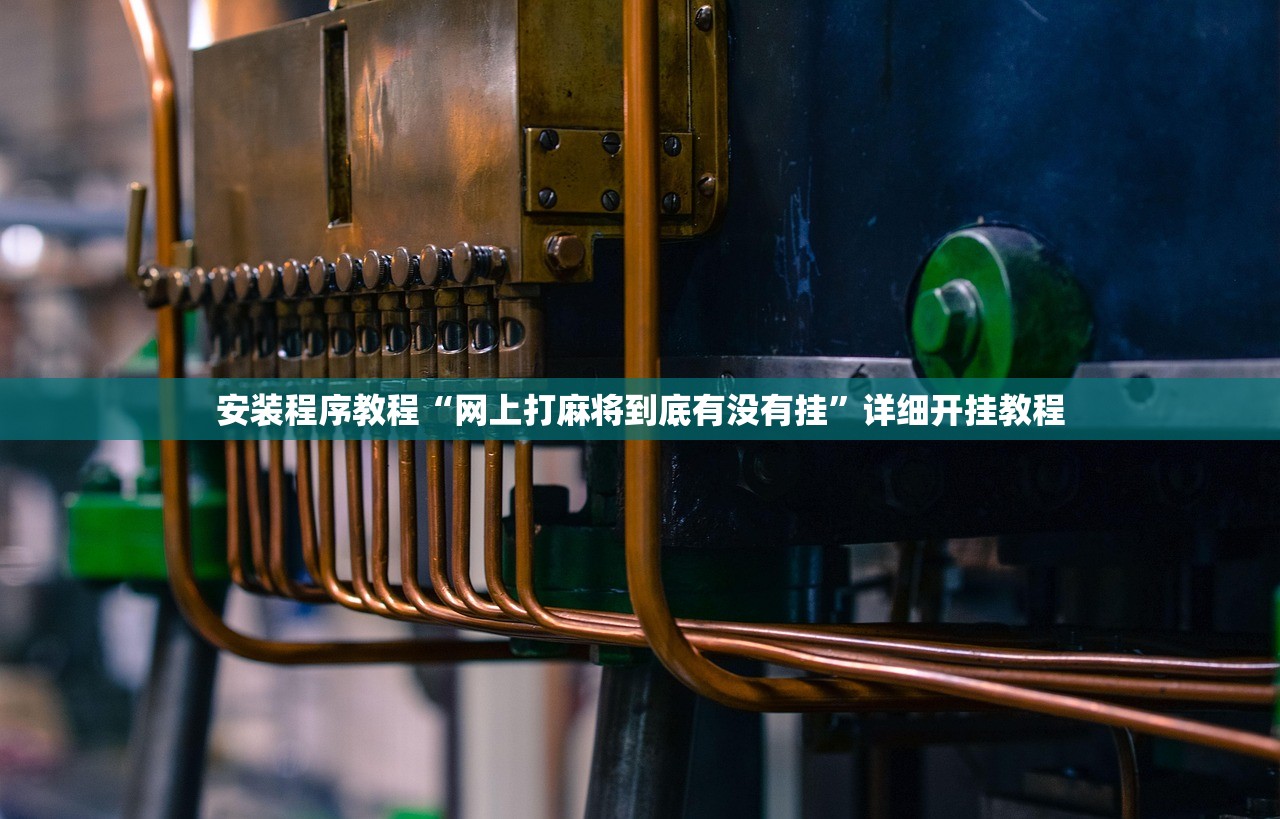 安装程序教程“网上打麻将到底有没有挂”详细开挂教程