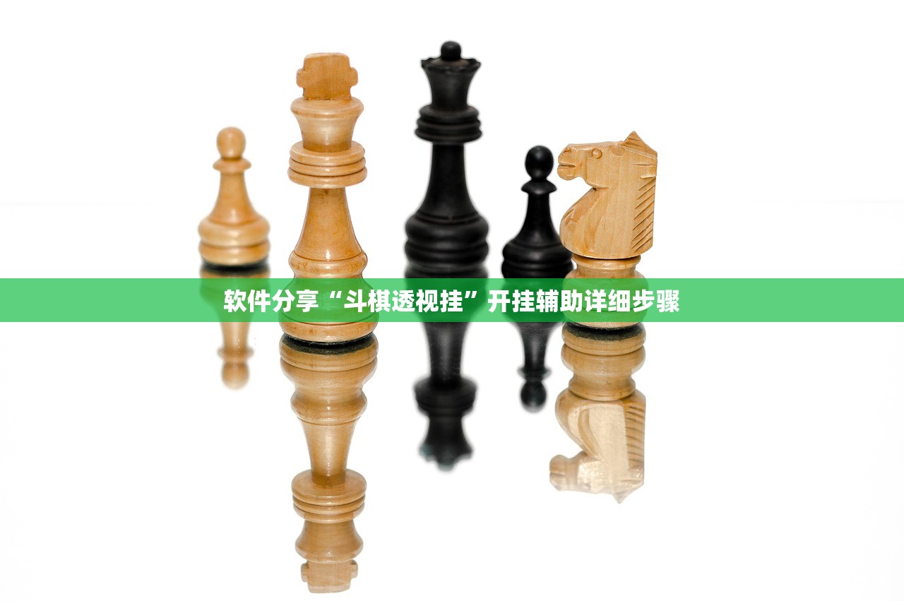 软件分享“斗棋透视挂”开挂辅助详细步骤