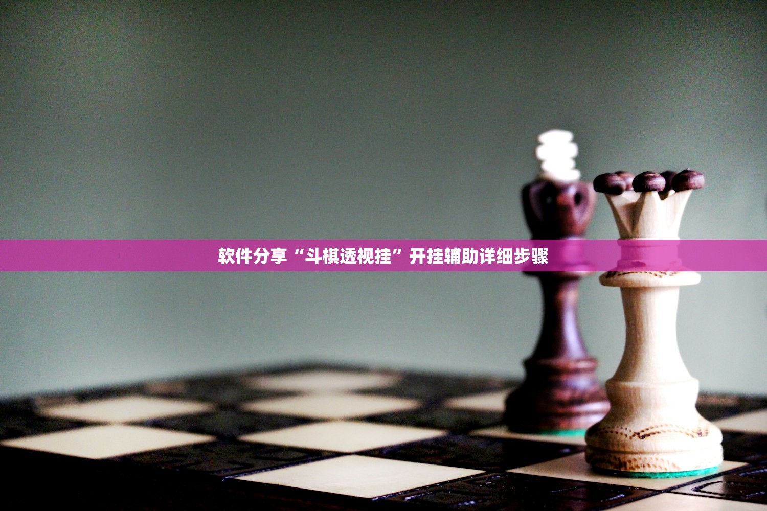 软件分享“斗棋透视挂”开挂辅助详细步骤