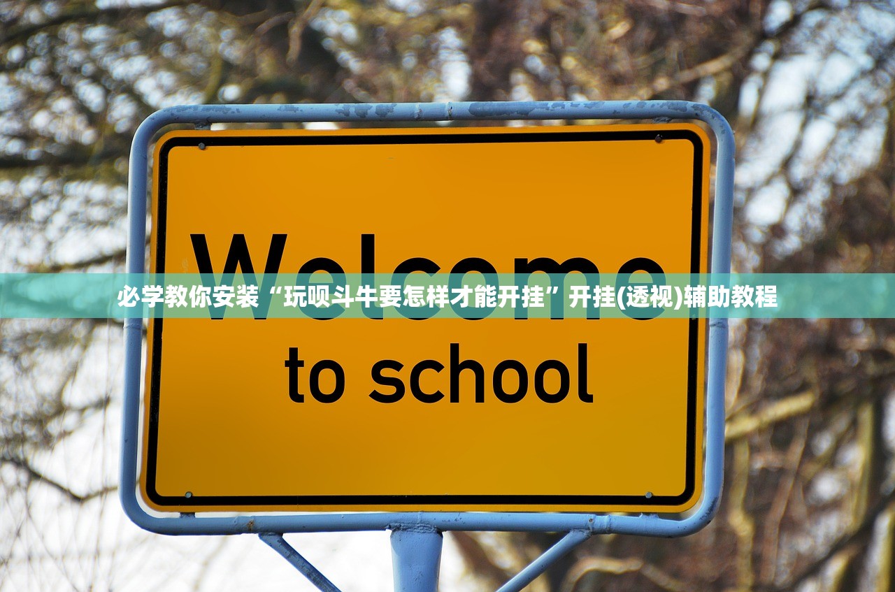 必学教你安装“玩呗斗牛要怎样才能开挂”开挂(透视)辅助教程