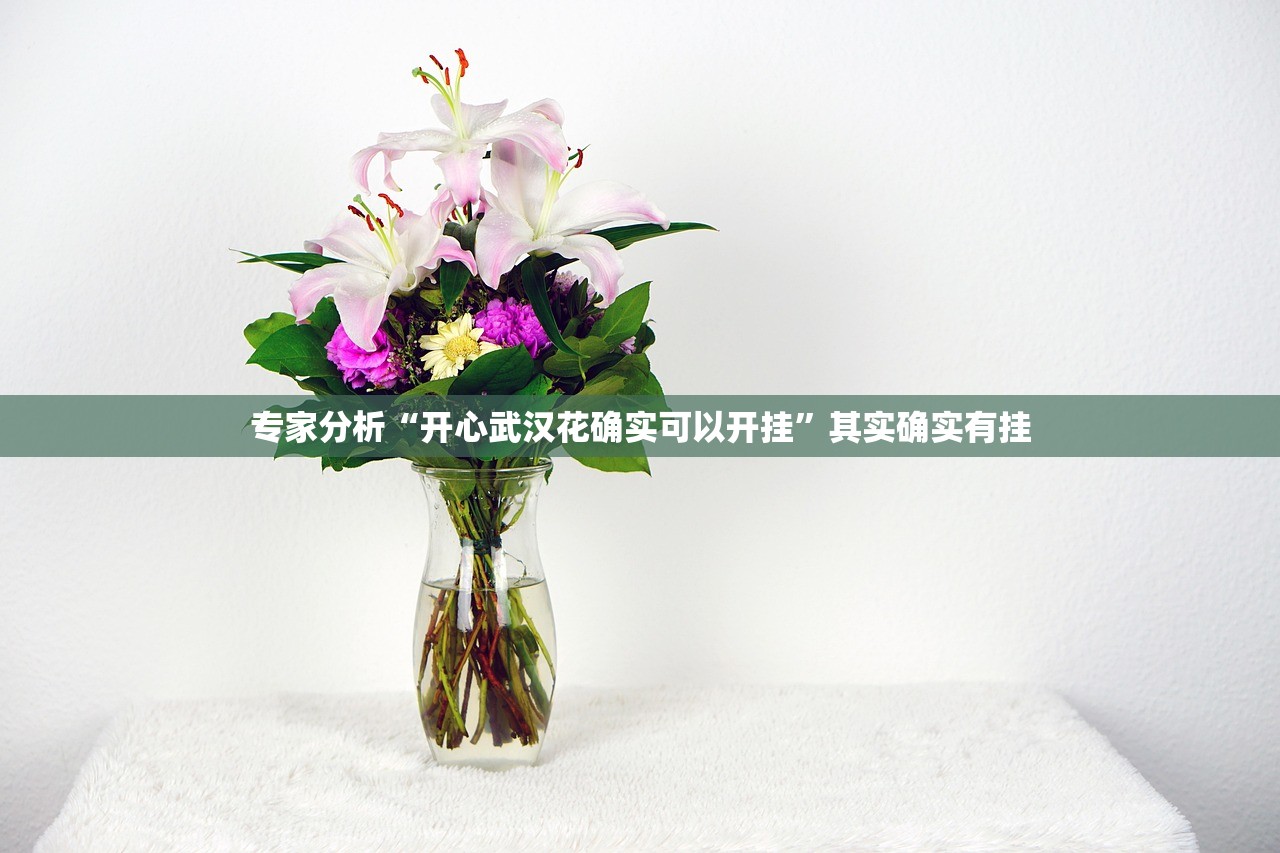专家分析“开心武汉花确实可以开挂”其实确实有挂