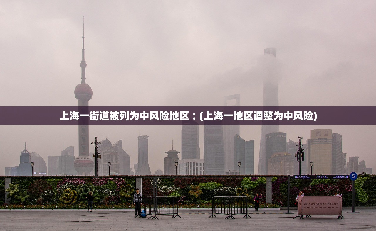 上海一街道被列为中风险地区︰(上海一地区调整为中风险)