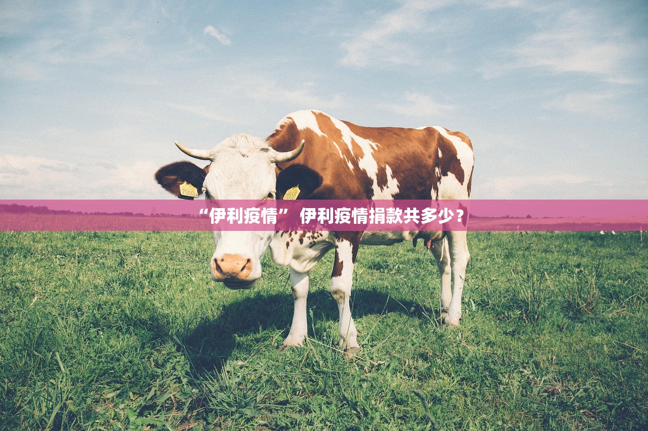 软件分享“亲友圈是不是有挂吗”2026透视开挂