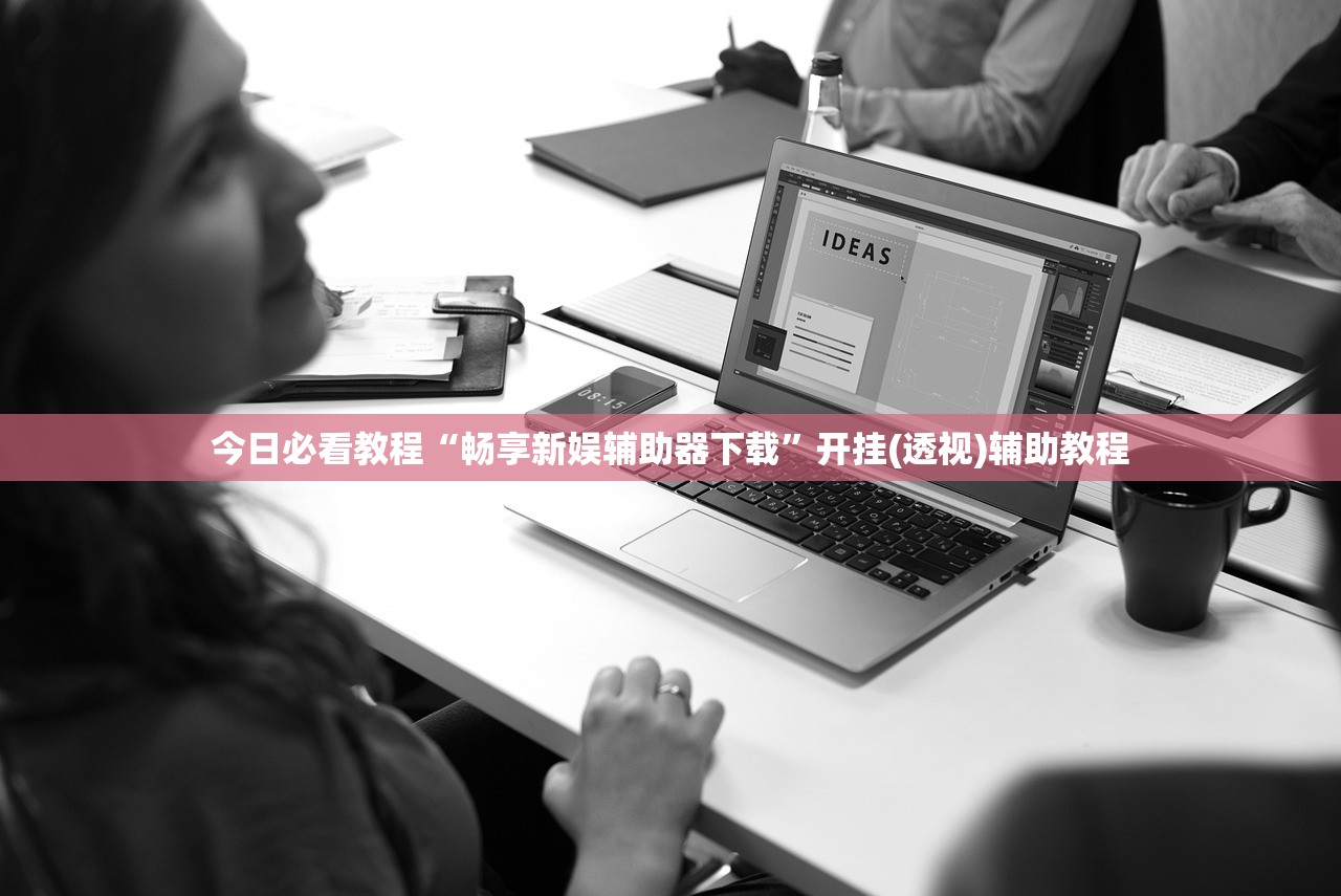 今日必看教程“畅享新娱辅助器下载	”开挂(透视)辅助教程