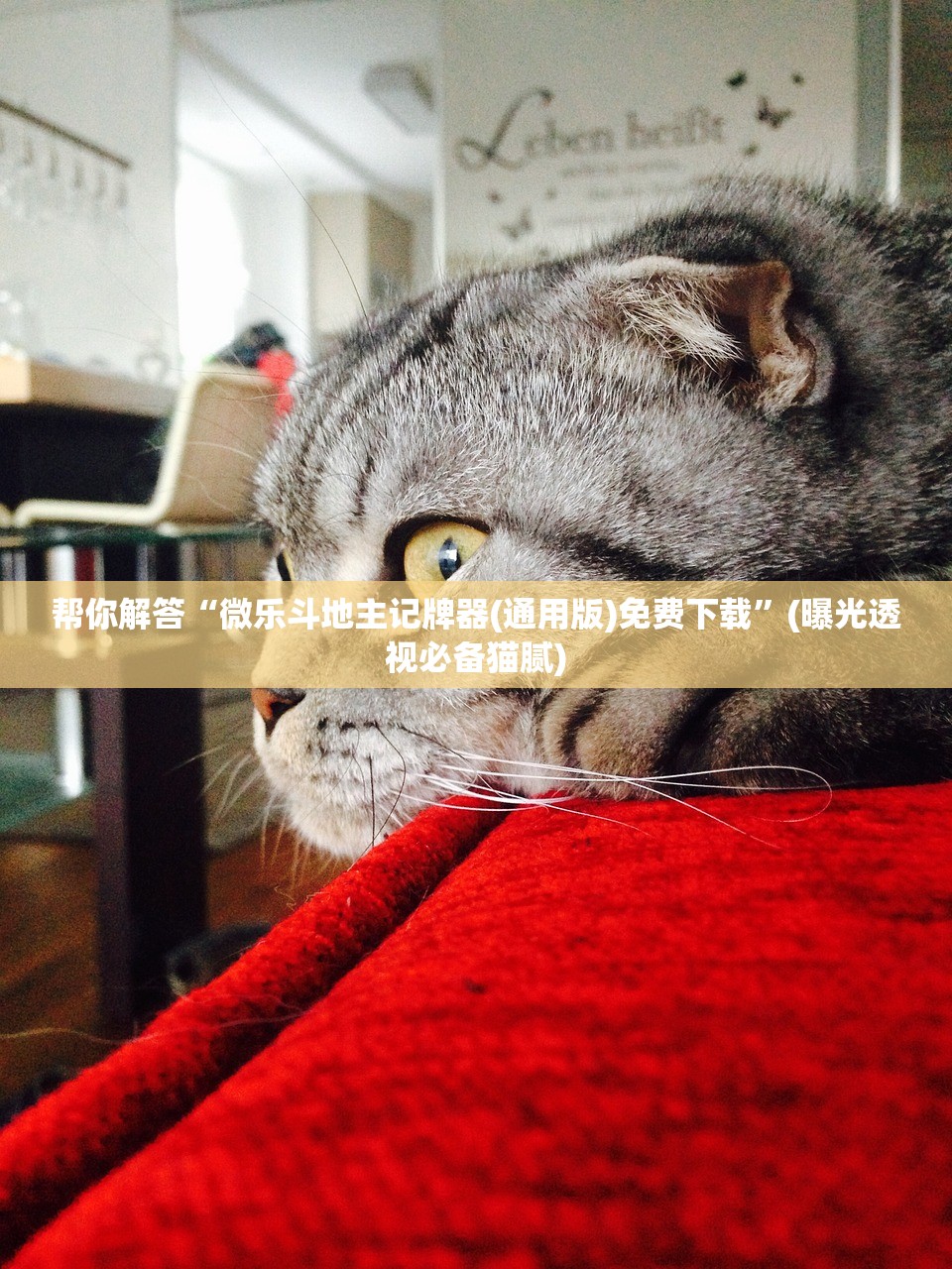 推荐一款“欢乐南通长牌开挂辅助软件”2026开挂教程步骤
