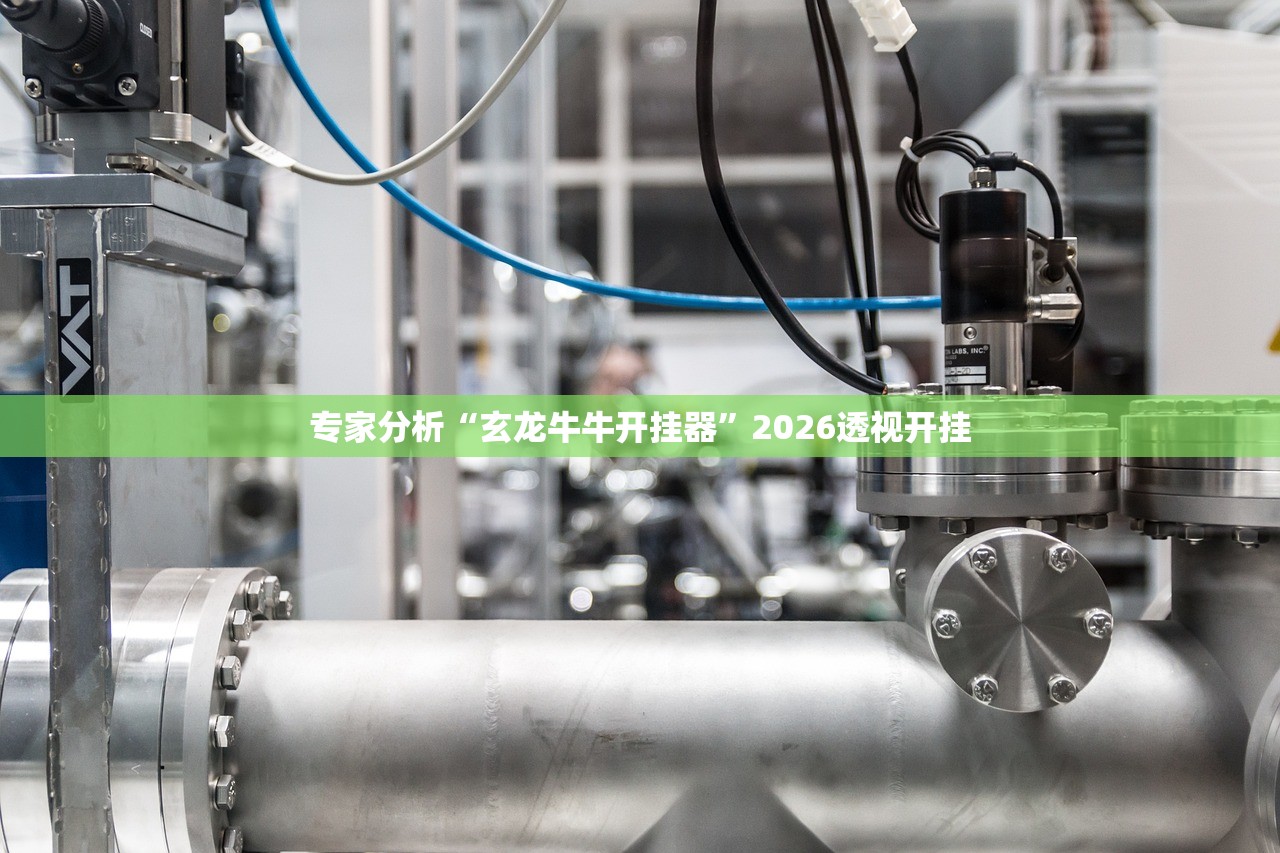 专家分析“玄龙牛牛开挂器”2026透视开挂