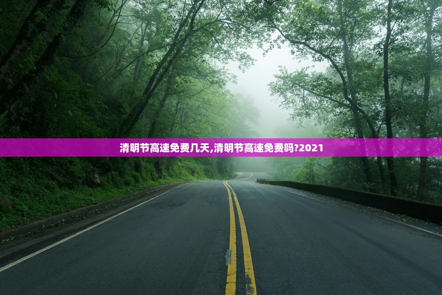 辅助神器“天天摸麻将怎么开挂”(曝光透视必备猫腻)