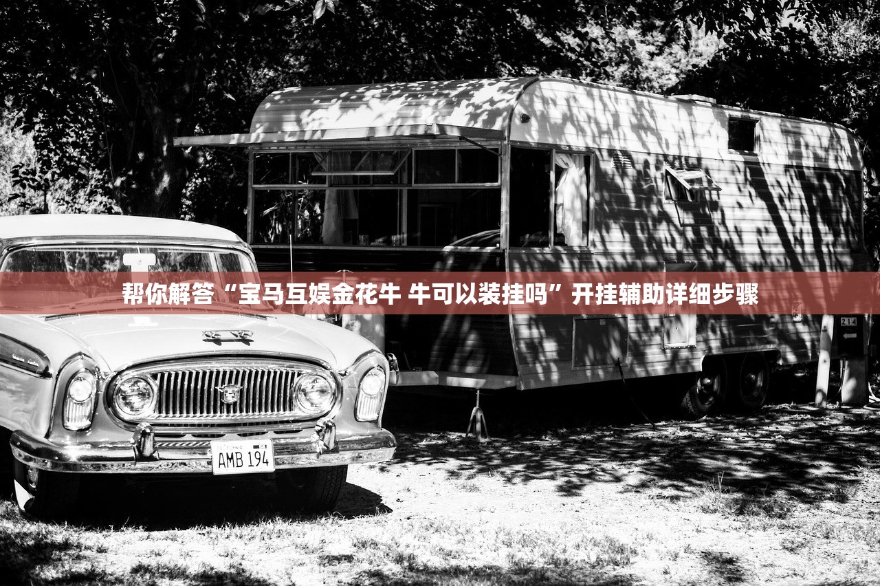 帮你解答“宝马互娱金花牛 牛可以装挂吗”开挂辅助详细步骤