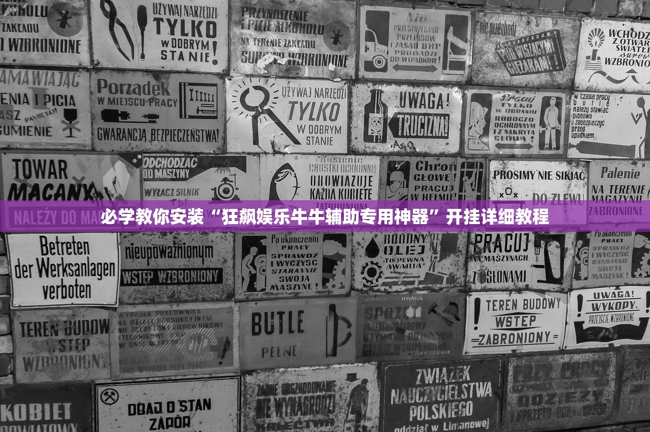 必学教你安装“狂飙娱乐牛牛辅助专用神器	”开挂详细教程