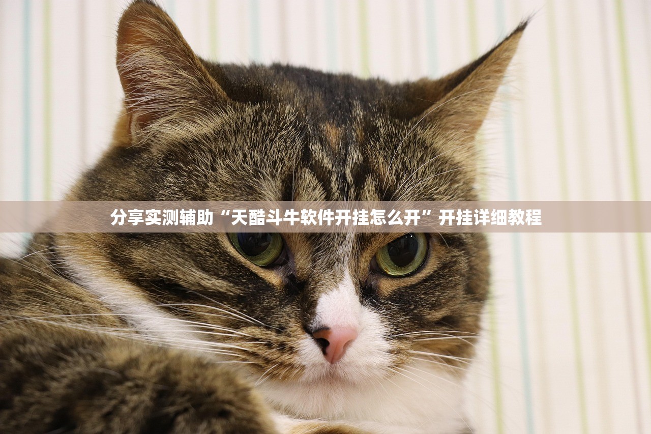 分享实测辅助“天酷斗牛软件开挂怎么开”开挂详细教程