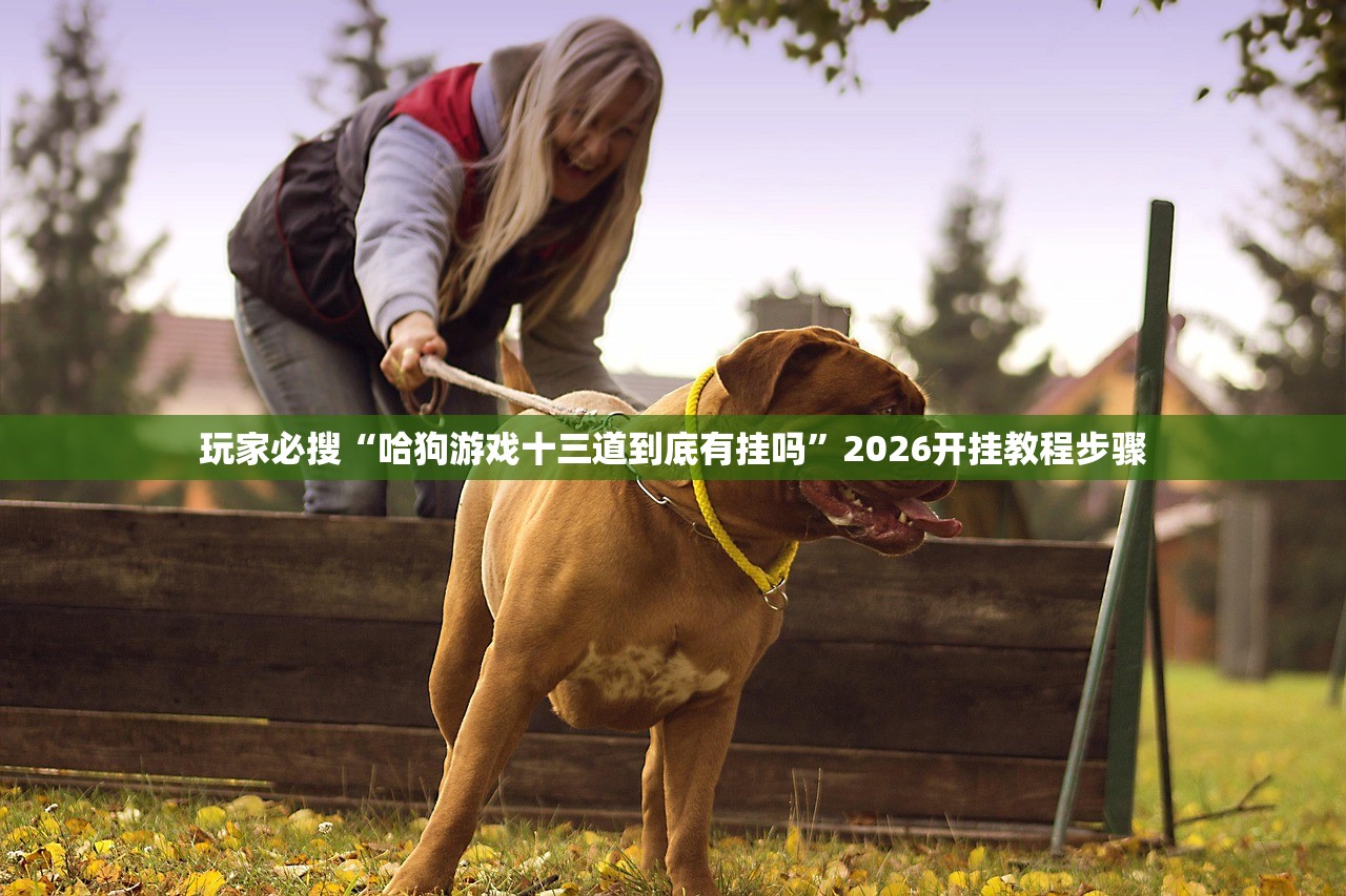 玩家必搜“哈狗游戏十三道到底有挂吗”2026开挂教程步骤