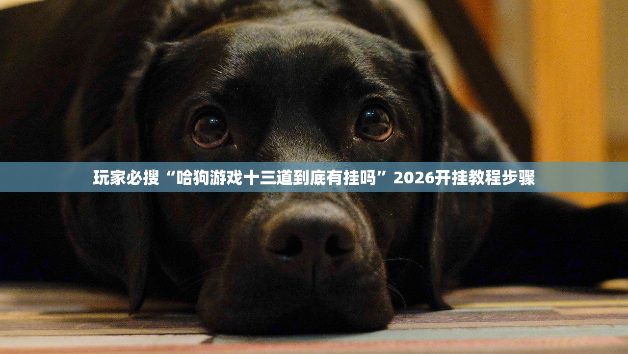 玩家必搜“哈狗游戏十三道到底有挂吗”2026开挂教程步骤