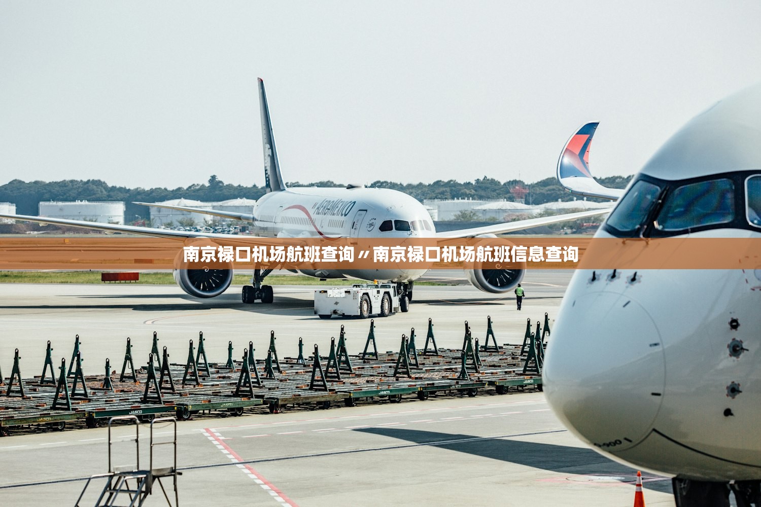 南京禄口机场航班查询〃南京禄口机场航班信息查询