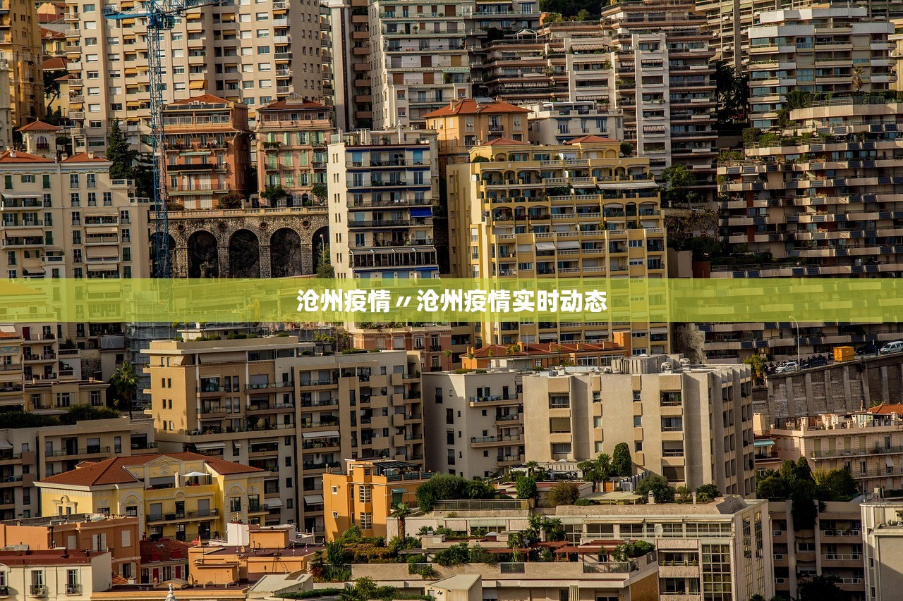 沧州疫情〃沧州疫情实时动态