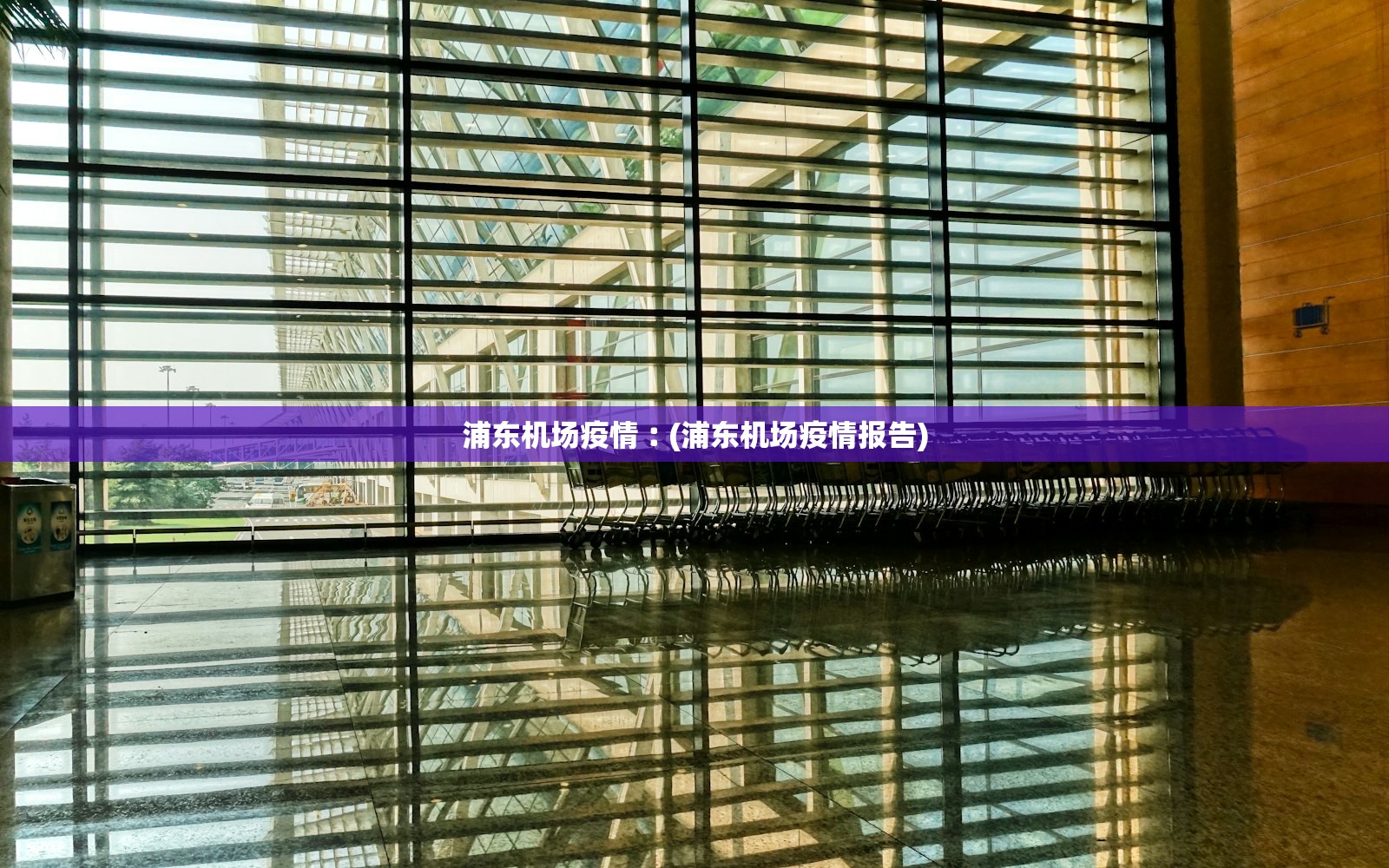 浦东机场疫情︰(浦东机场疫情报告) 浦东机场疫情︰(浦东机场疫情报告)