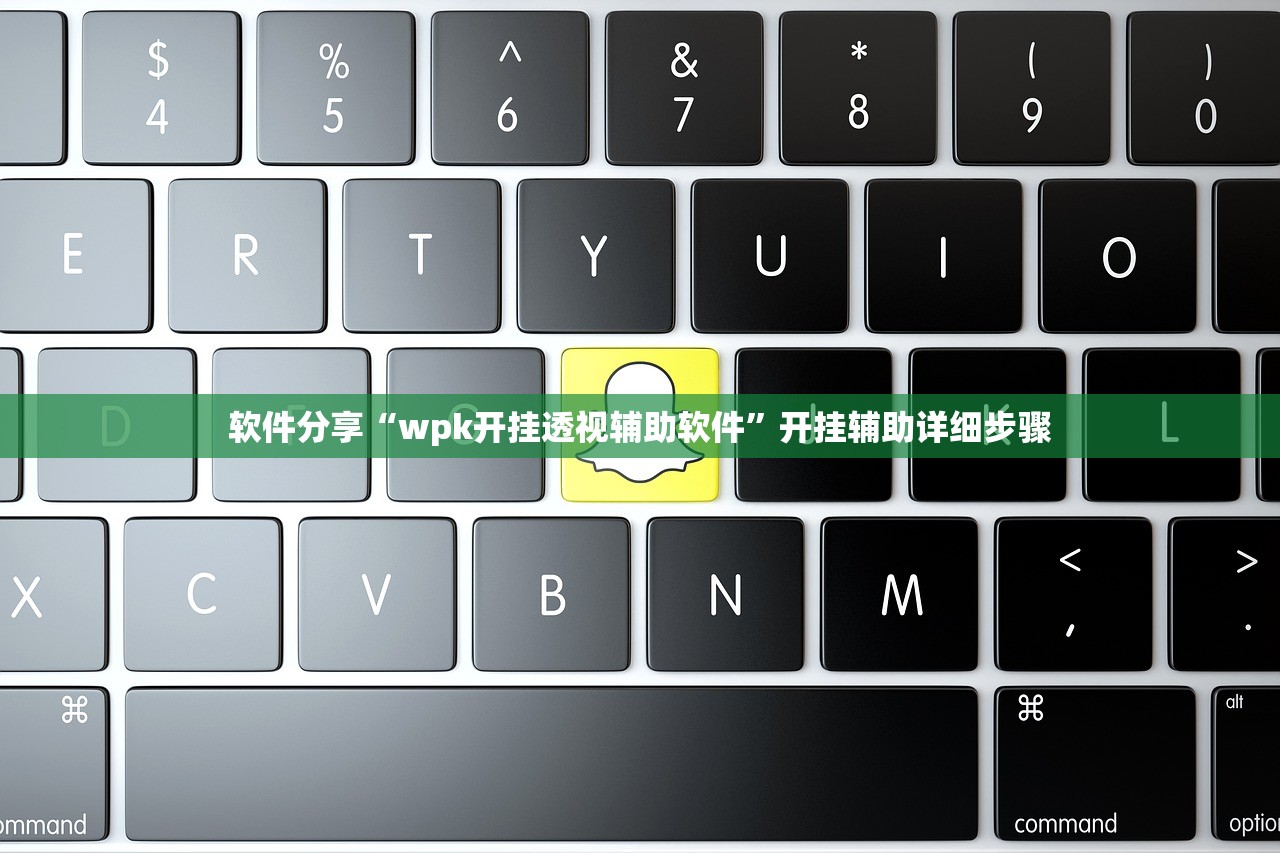 软件分享“wpk开挂透视辅助软件	”开挂辅助详细步骤