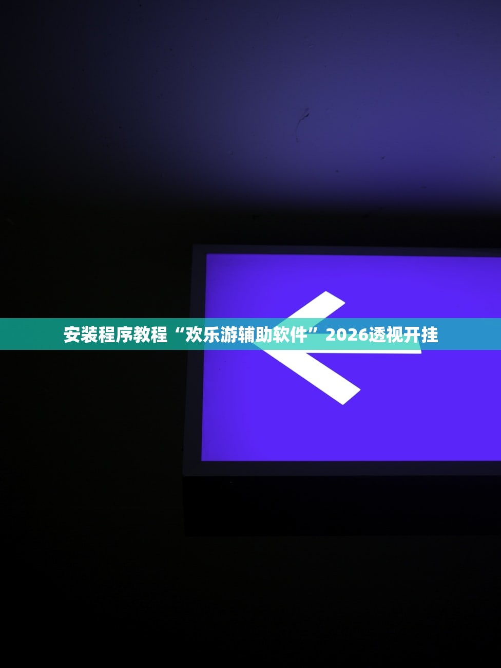 安装程序教程“欢乐游辅助软件”2026透视开挂