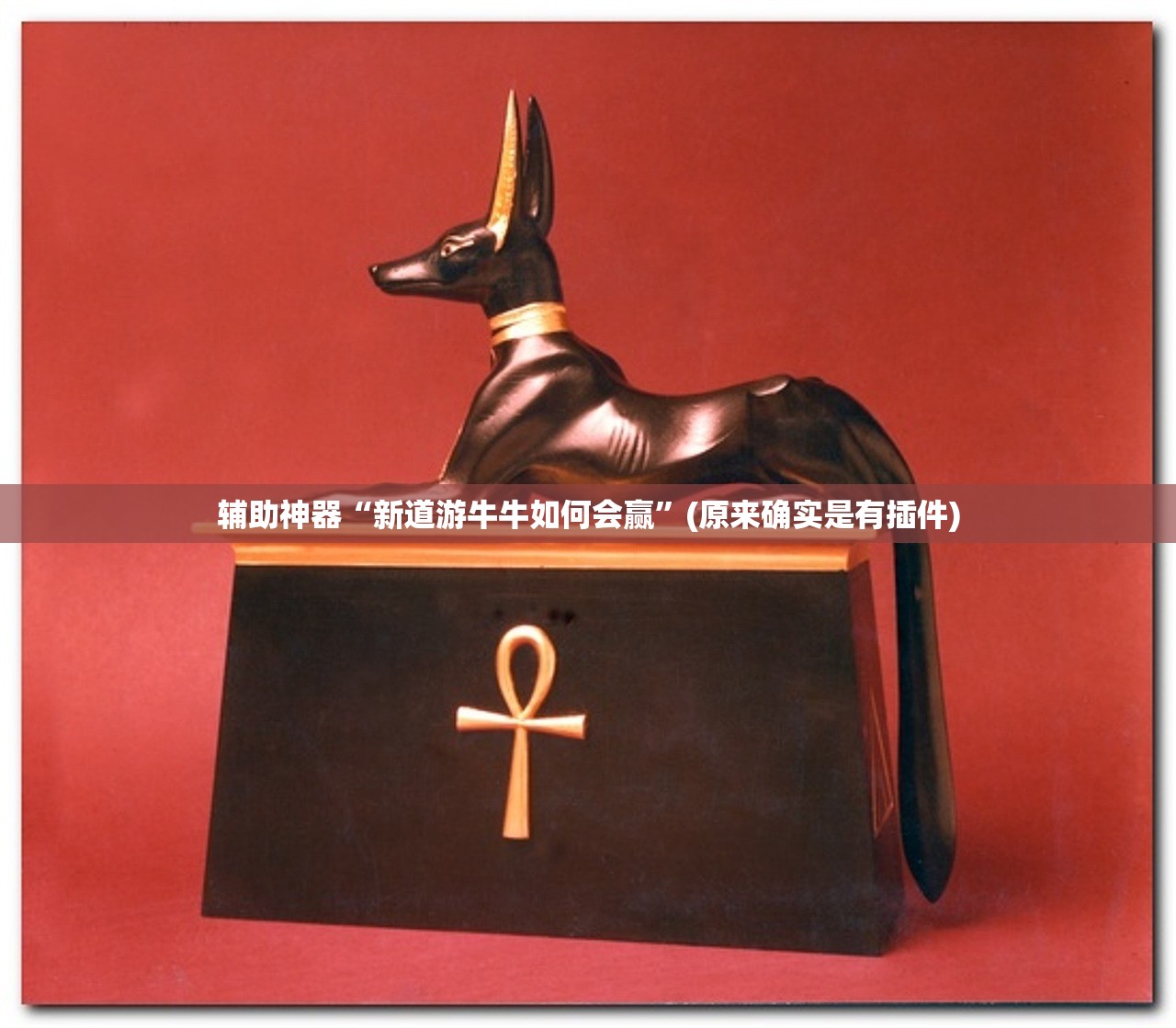 辅助神器“新道游牛牛如何会赢”(原来确实是有插件)