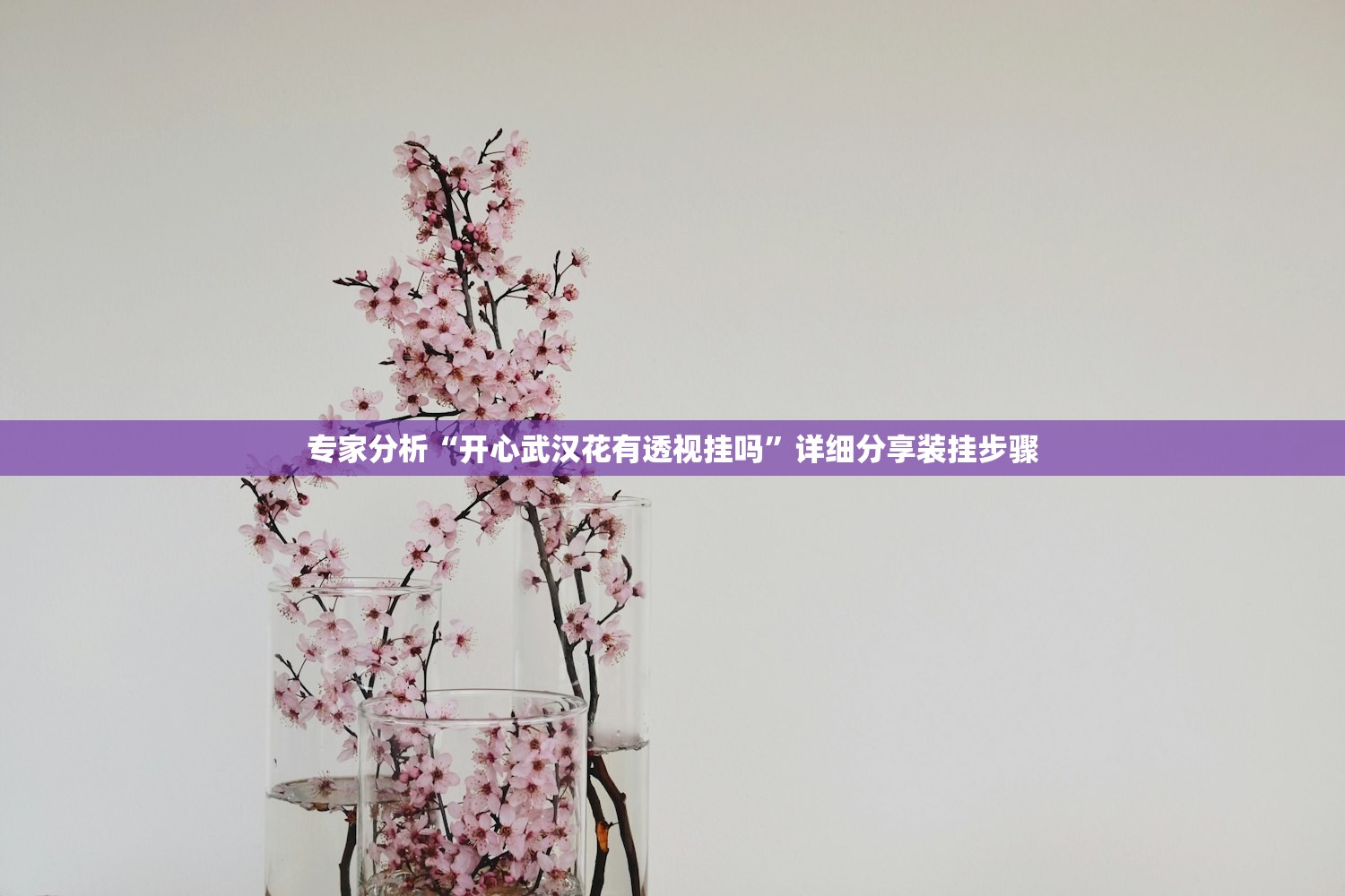 专家分析“开心武汉花有透视挂吗	”详细分享装挂步骤