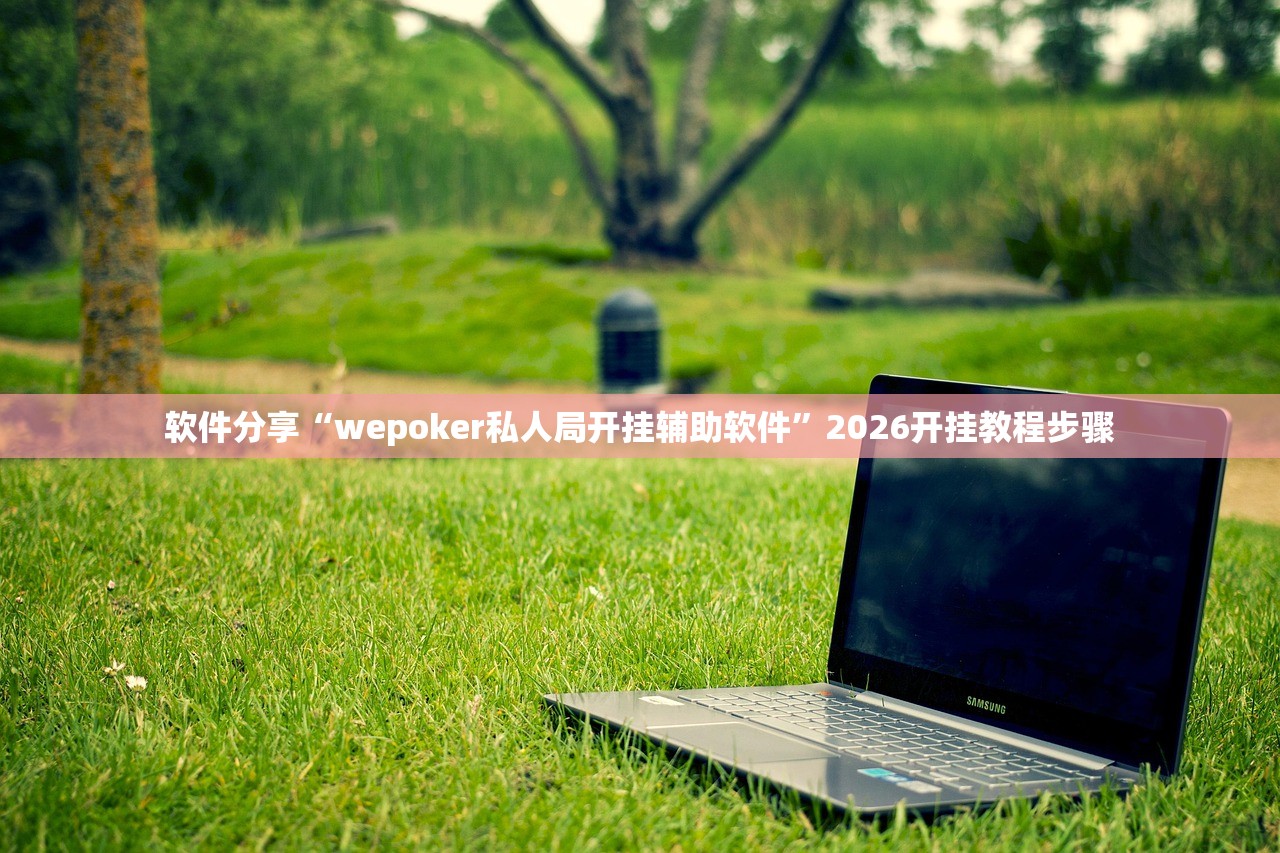 软件分享“wepoker私人局开挂辅助软件	”2026开挂教程步骤
