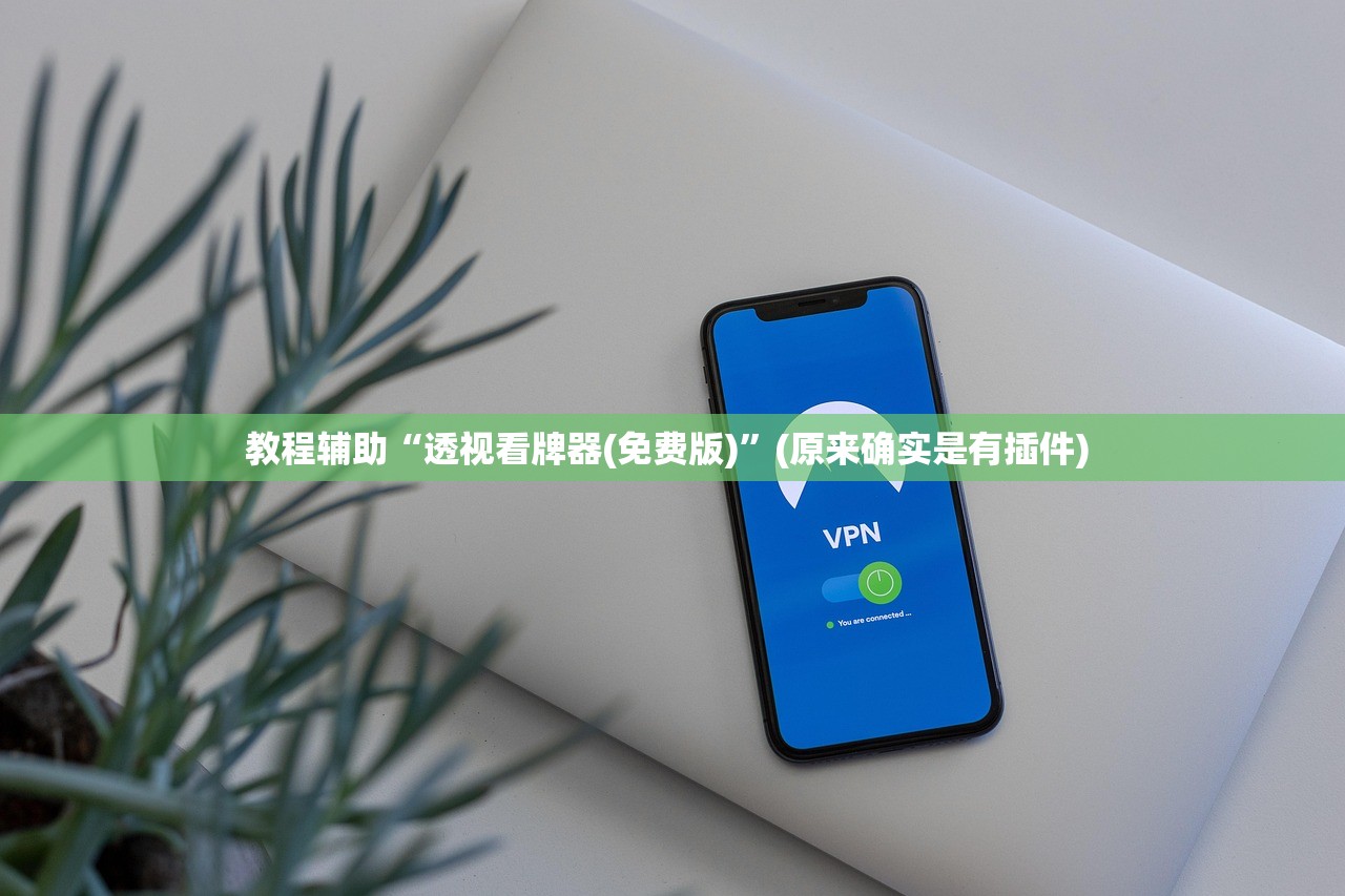 教程辅助“透视看牌器(免费版)	”(原来确实是有插件) 