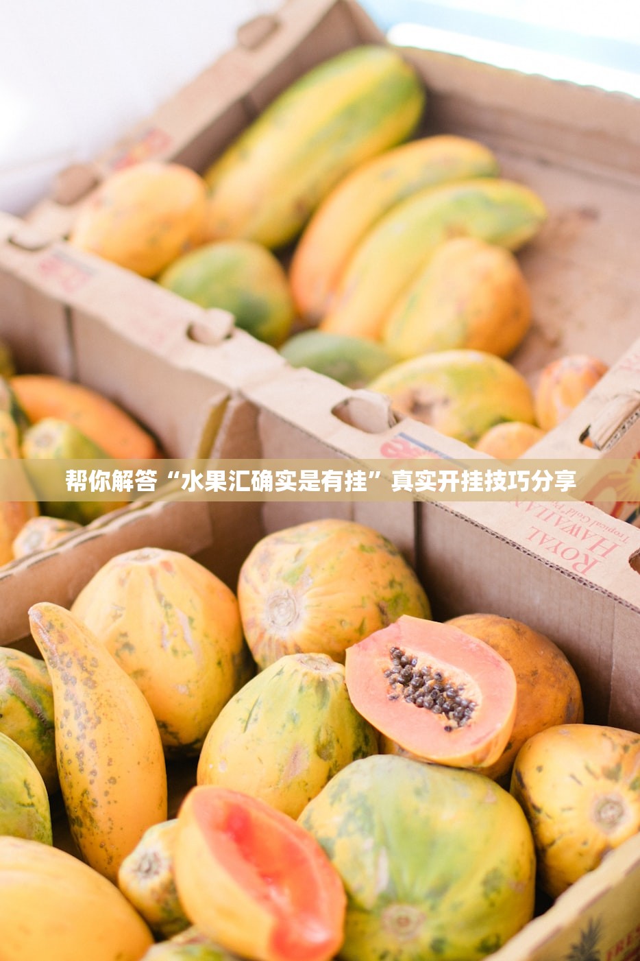 帮你解答“水果汇确实是有挂”真实开挂技巧分享