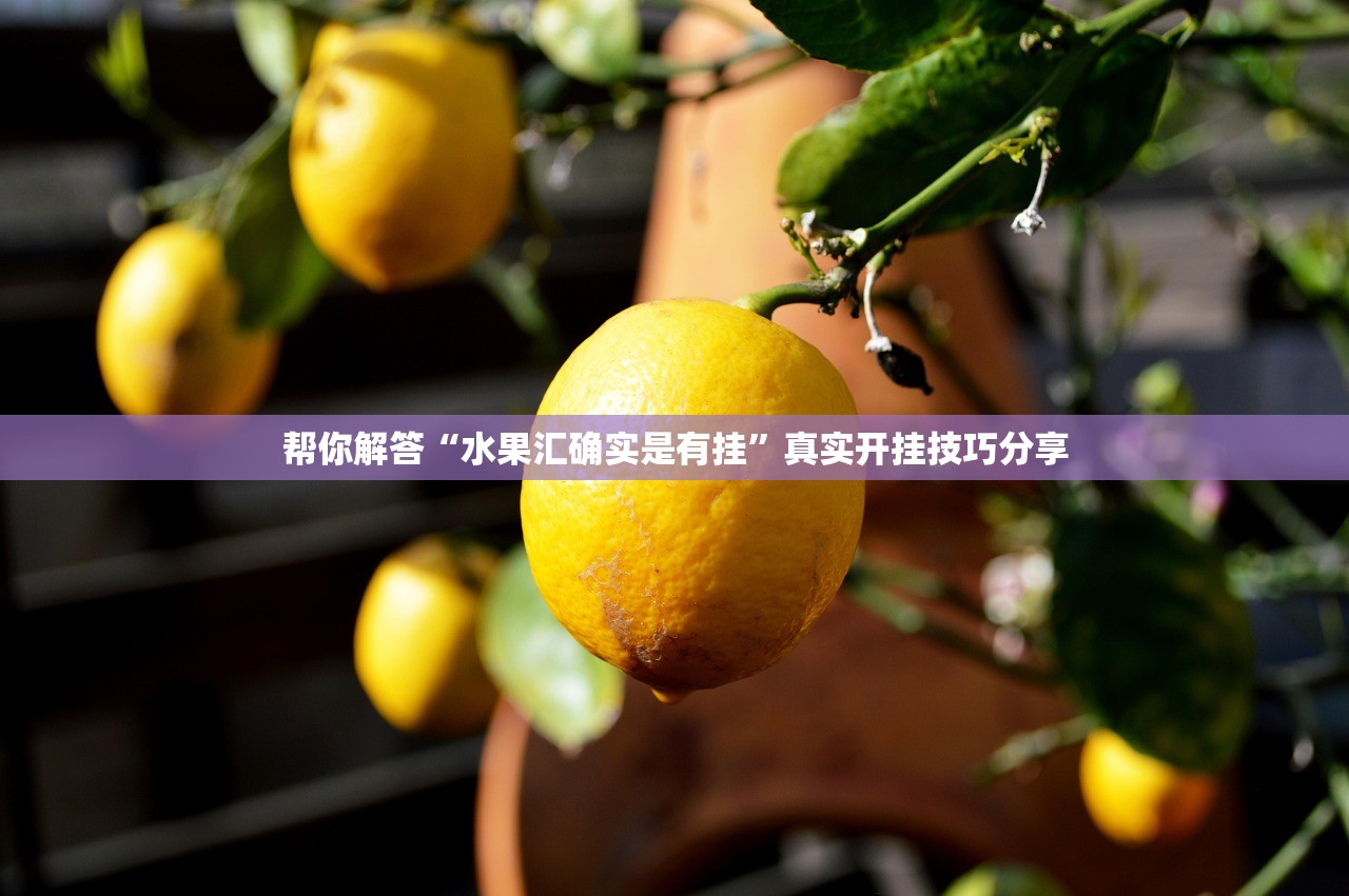 帮你解答“水果汇确实是有挂”真实开挂技巧分享