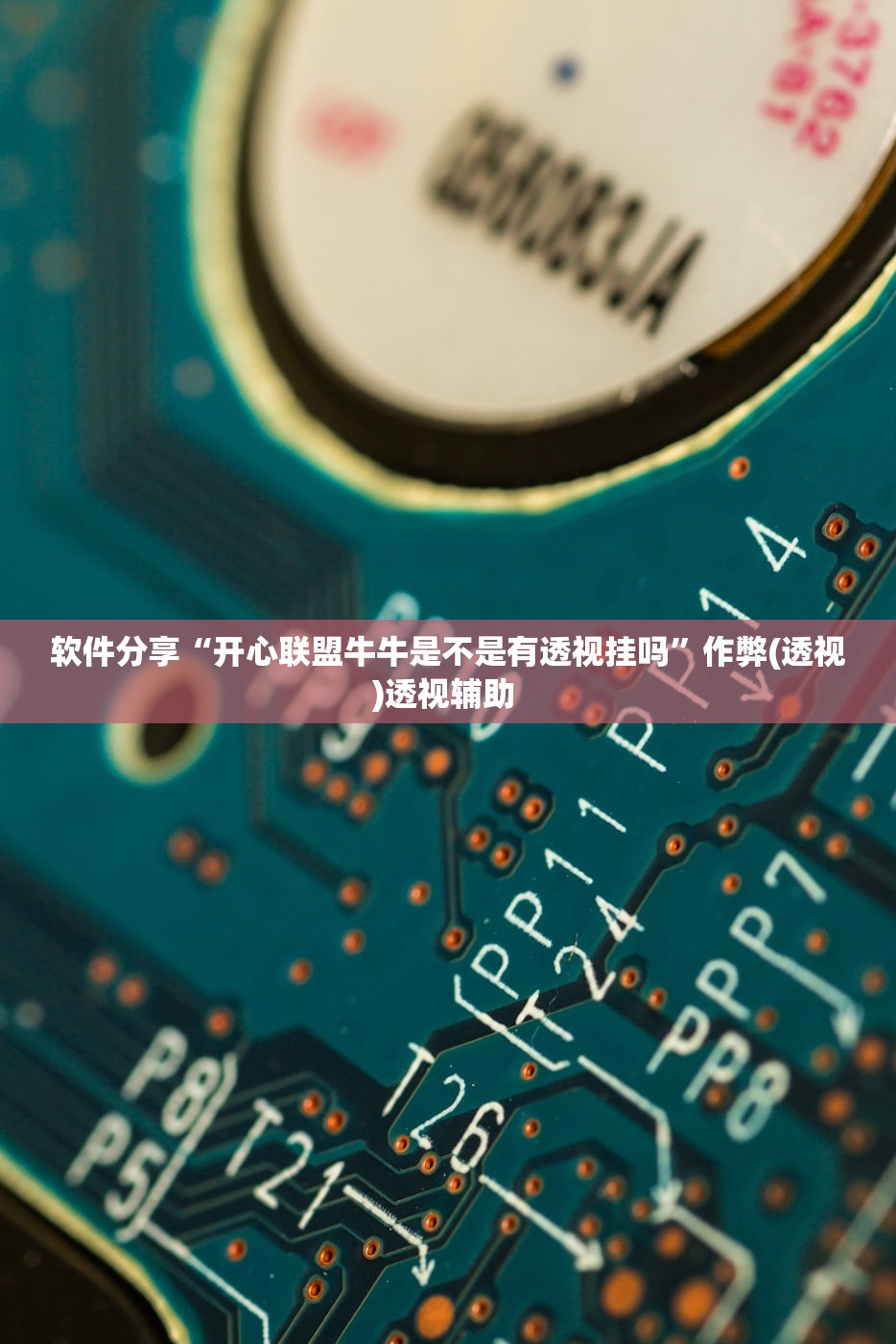 软件分享“开心联盟牛牛是不是有透视挂吗”作弊(透视)透视辅助 