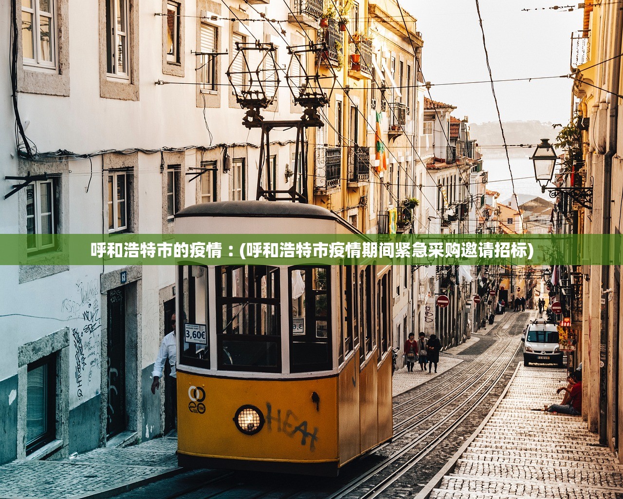 呼和浩特市的疫情︰(呼和浩特市疫情期间紧急采购邀请招标)