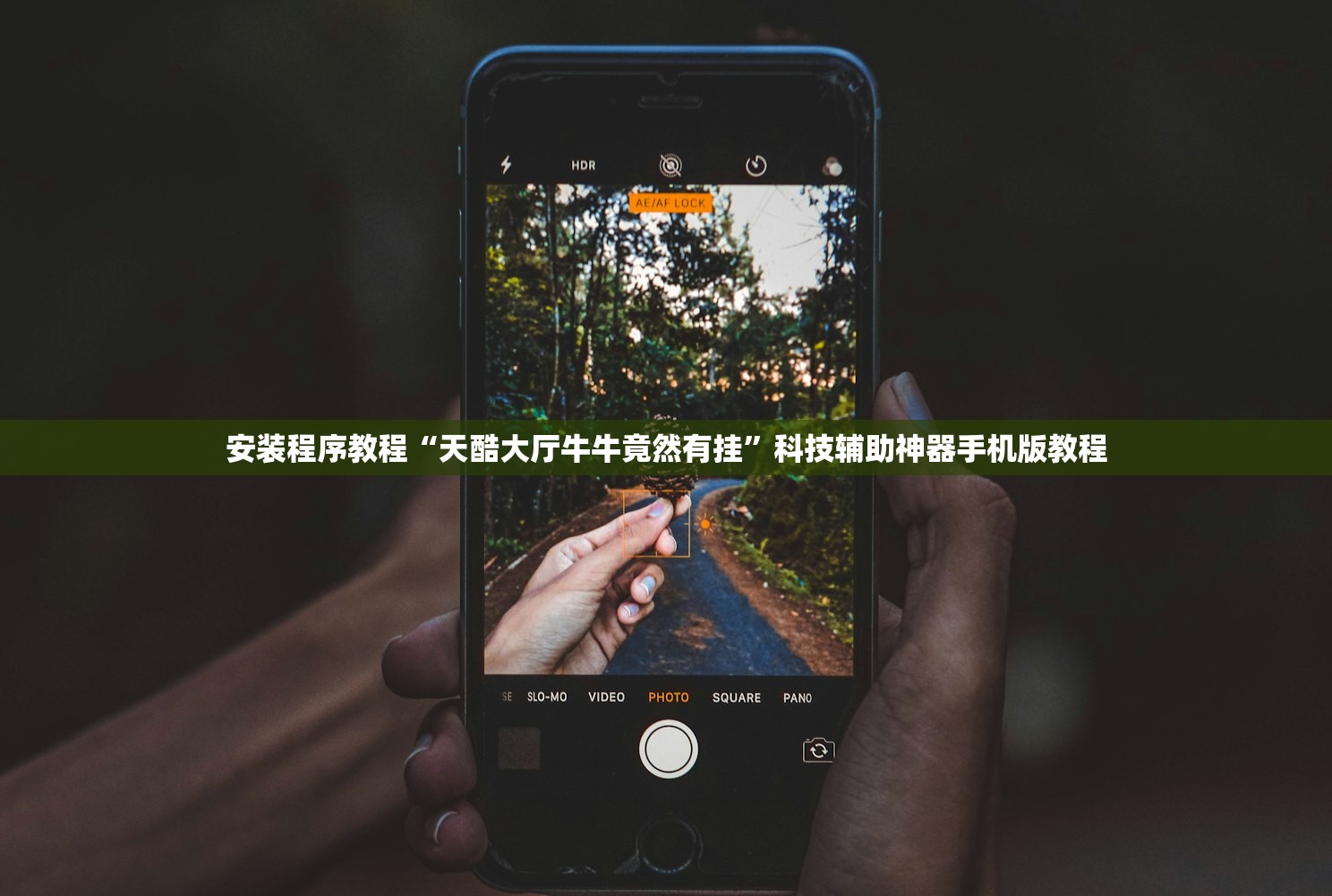 安装程序教程“天酷大厅牛牛竟然有挂”科技辅助神器手机版教程