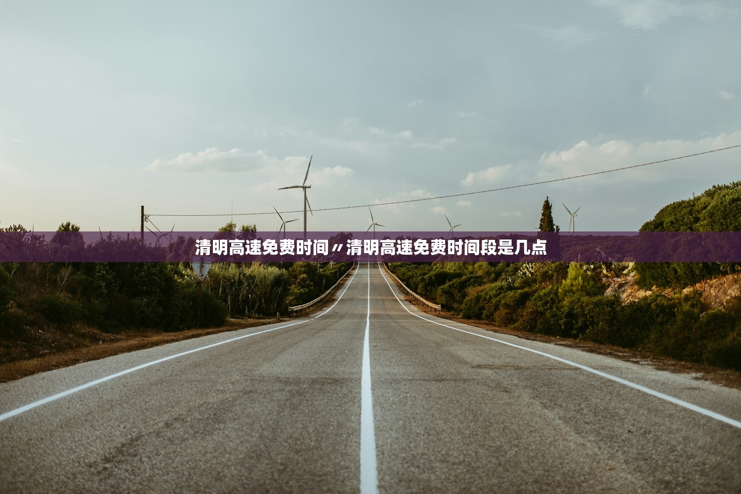 清明高速免费时间〃清明高速免费时间段是几点 清明高速免费时间〃清明高速免费时间段是几点