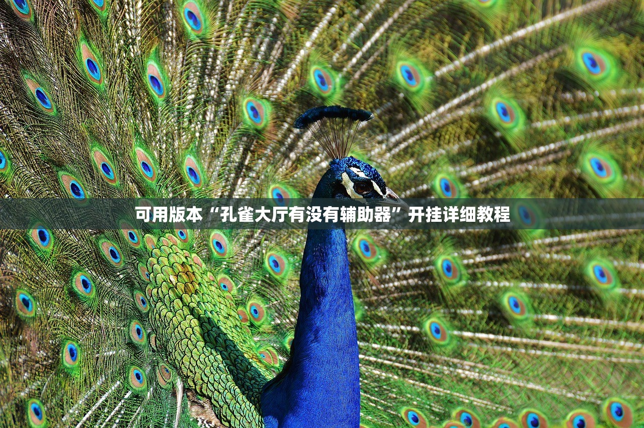 可用版本“孔雀大厅有没有辅助器”开挂详细教程