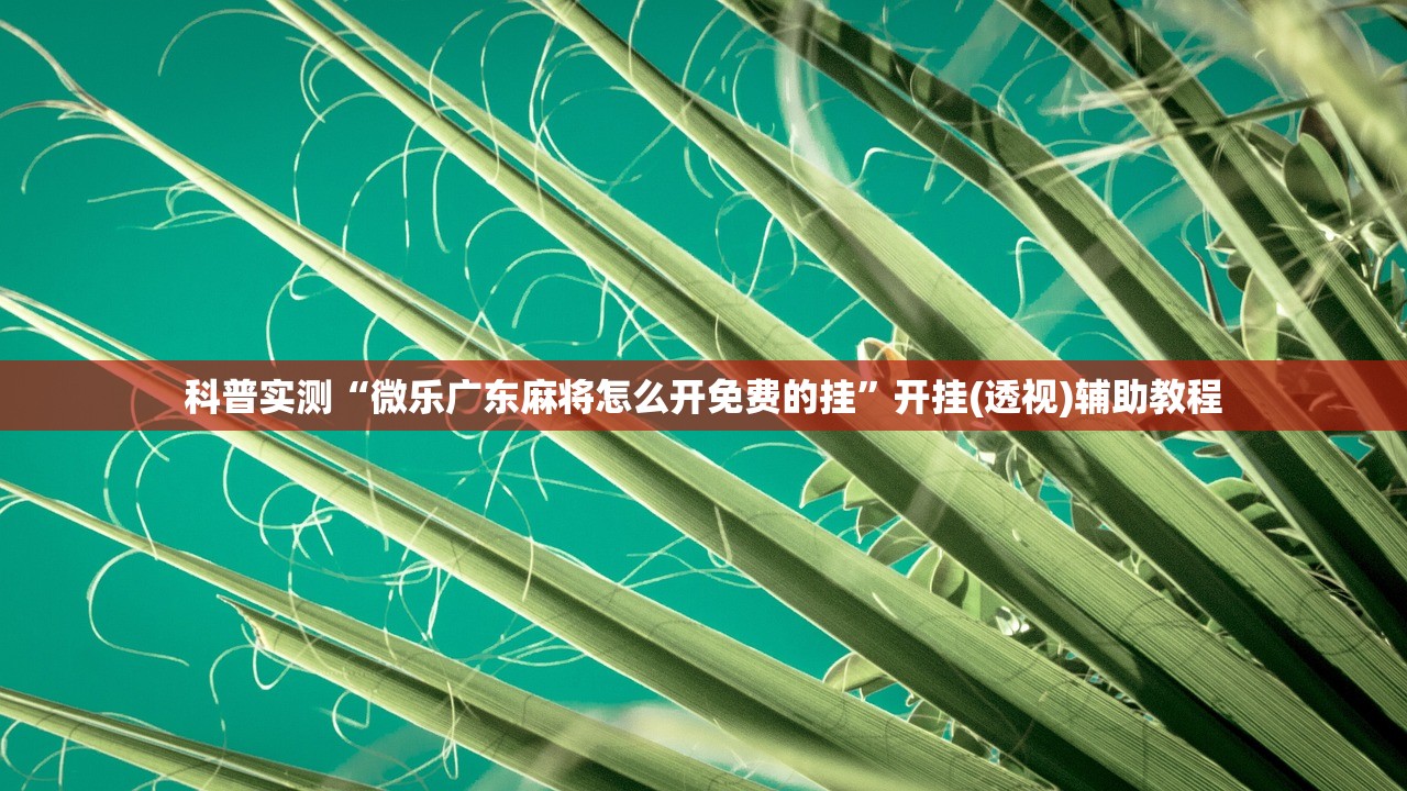 科普实测“微乐广东麻将怎么开免费的挂”开挂(透视)辅助教程
