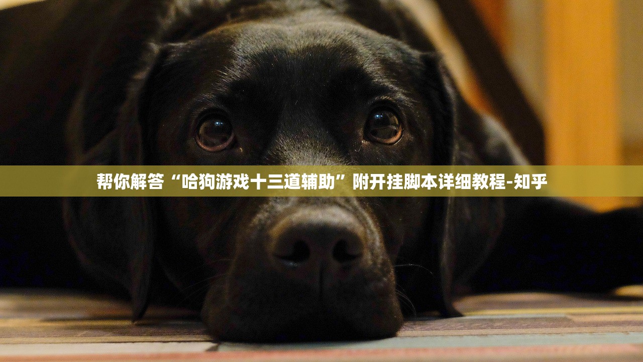帮你解答“哈狗游戏十三道辅助	”附开挂脚本详细教程-知乎