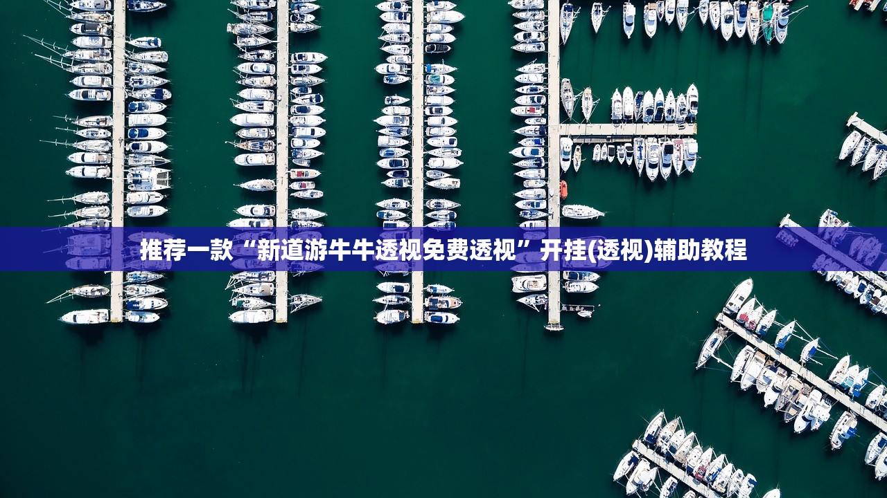 推荐一款“新道游牛牛透视免费透视”开挂(透视)辅助教程