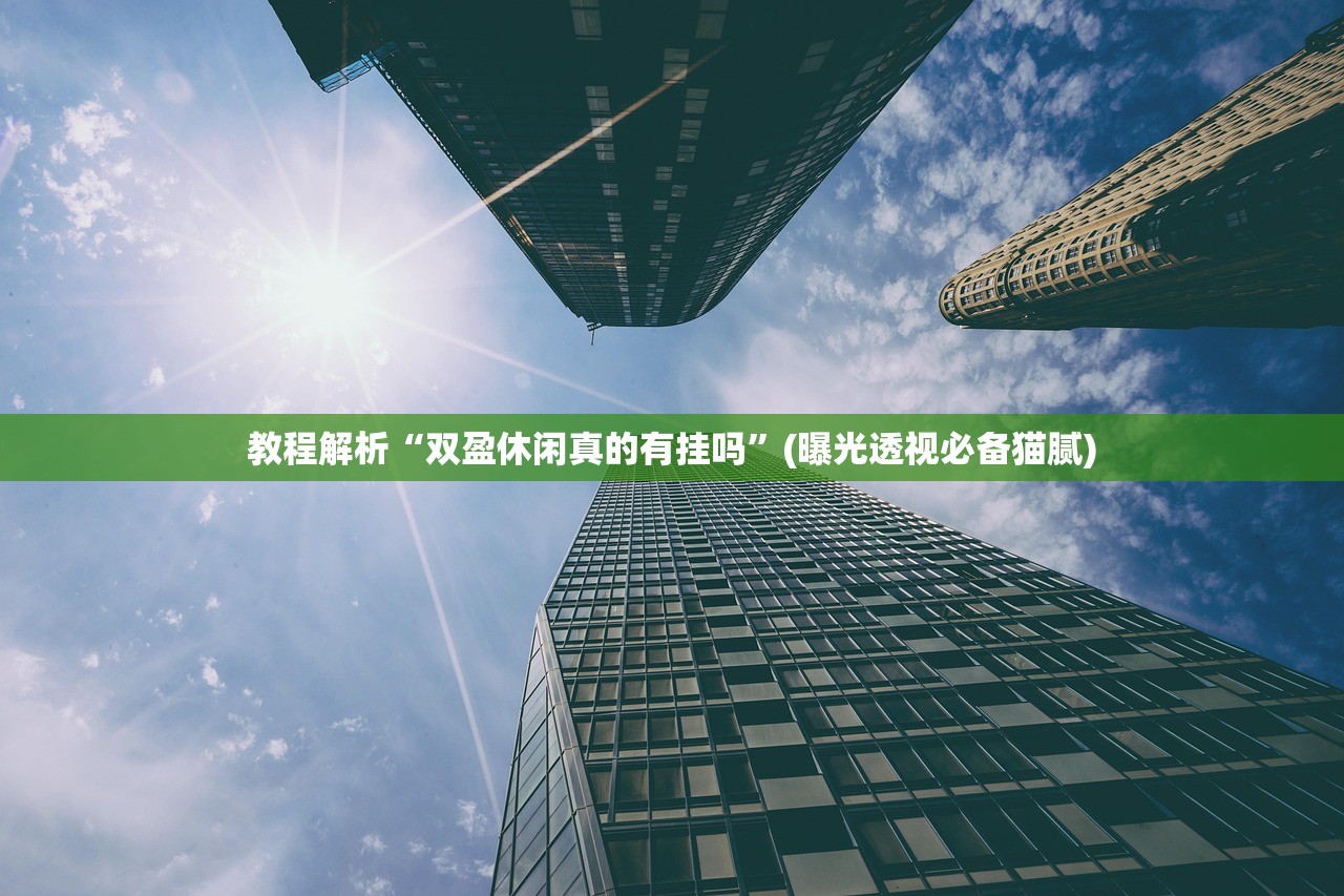 教程解析“双盈休闲真的有挂吗”(曝光透视必备猫腻)