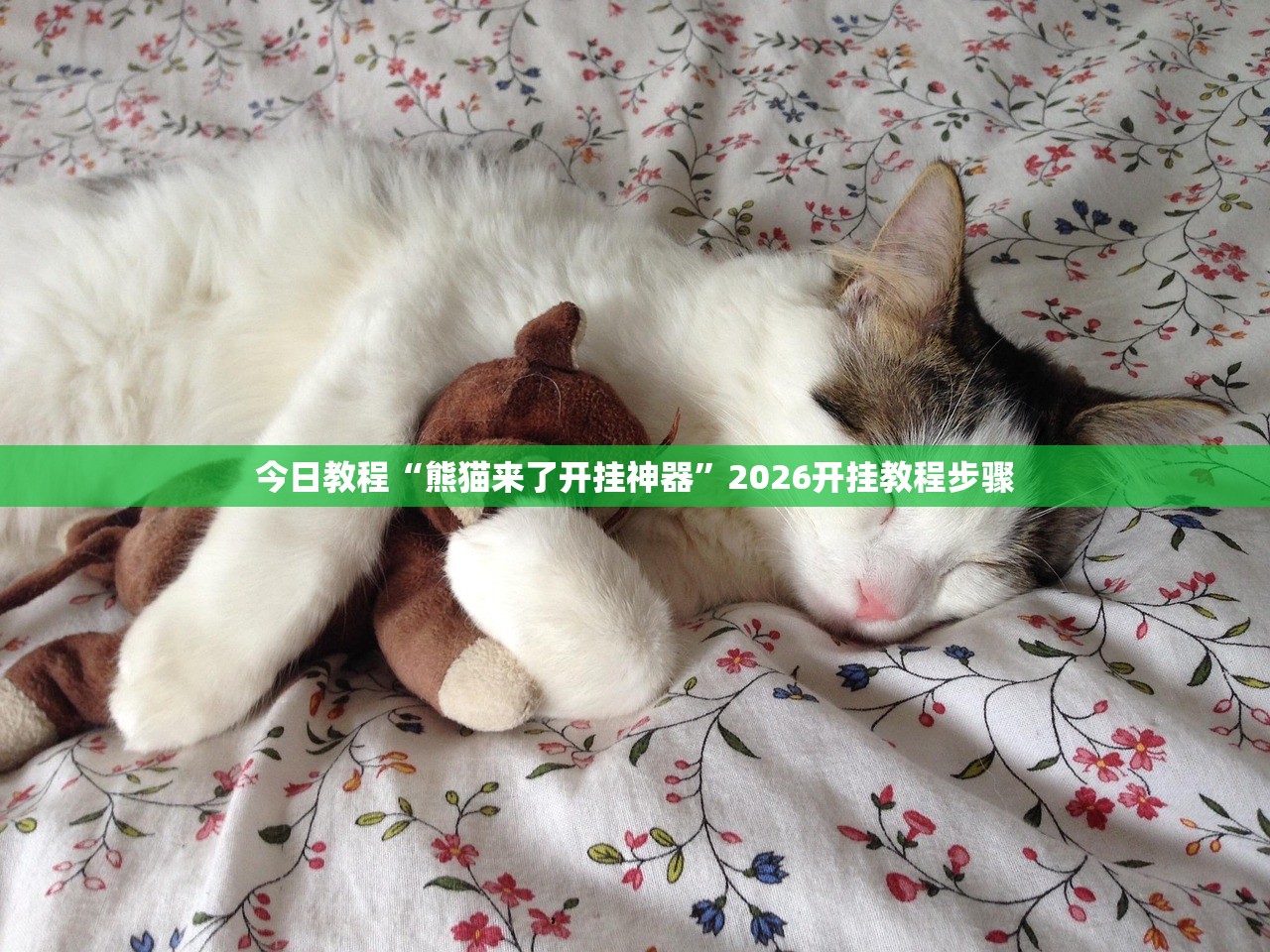 今日教程“熊猫来了开挂神器”2026开挂教程步骤