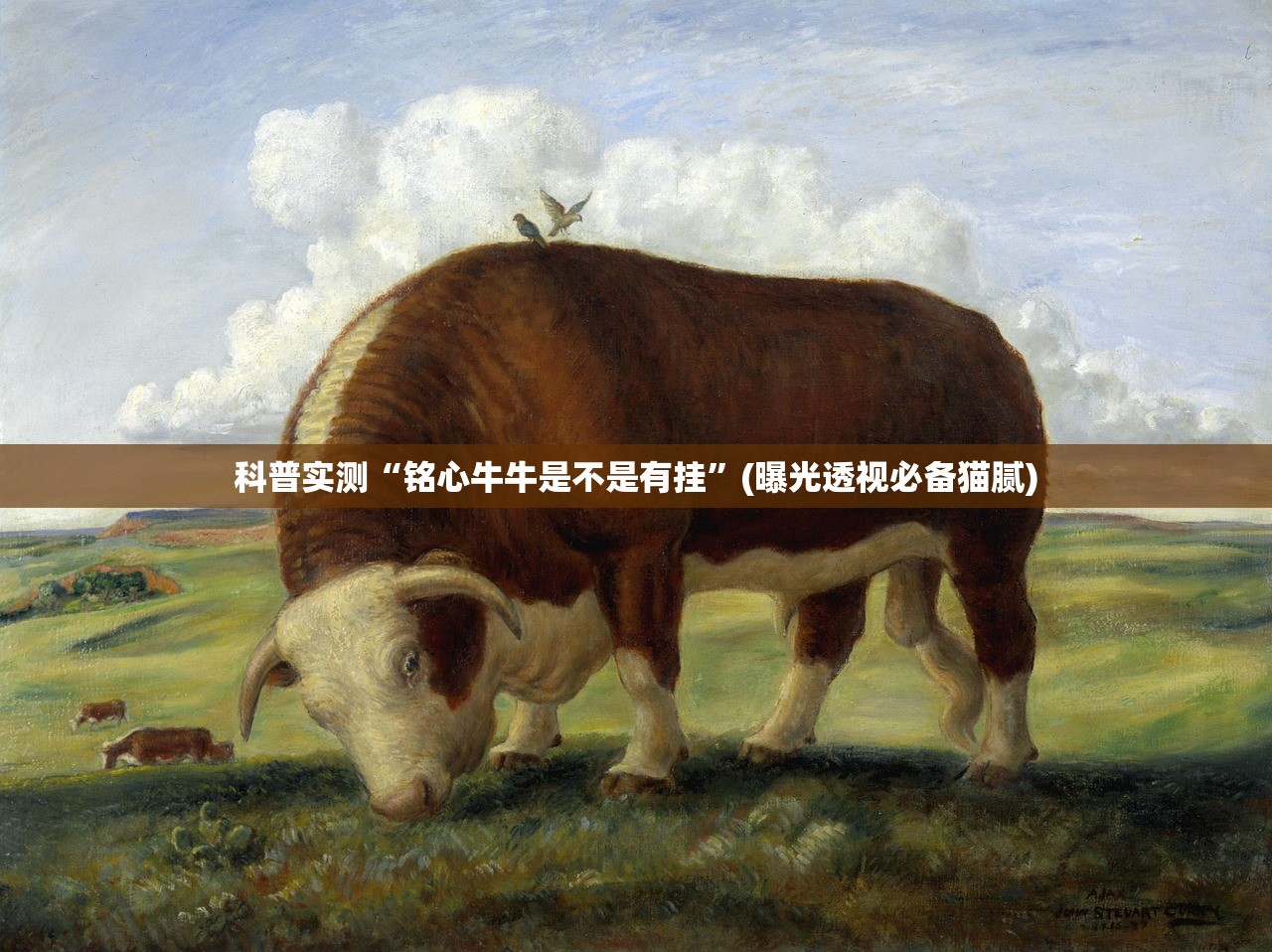 科普实测“铭心牛牛是不是有挂”(曝光透视必备猫腻)