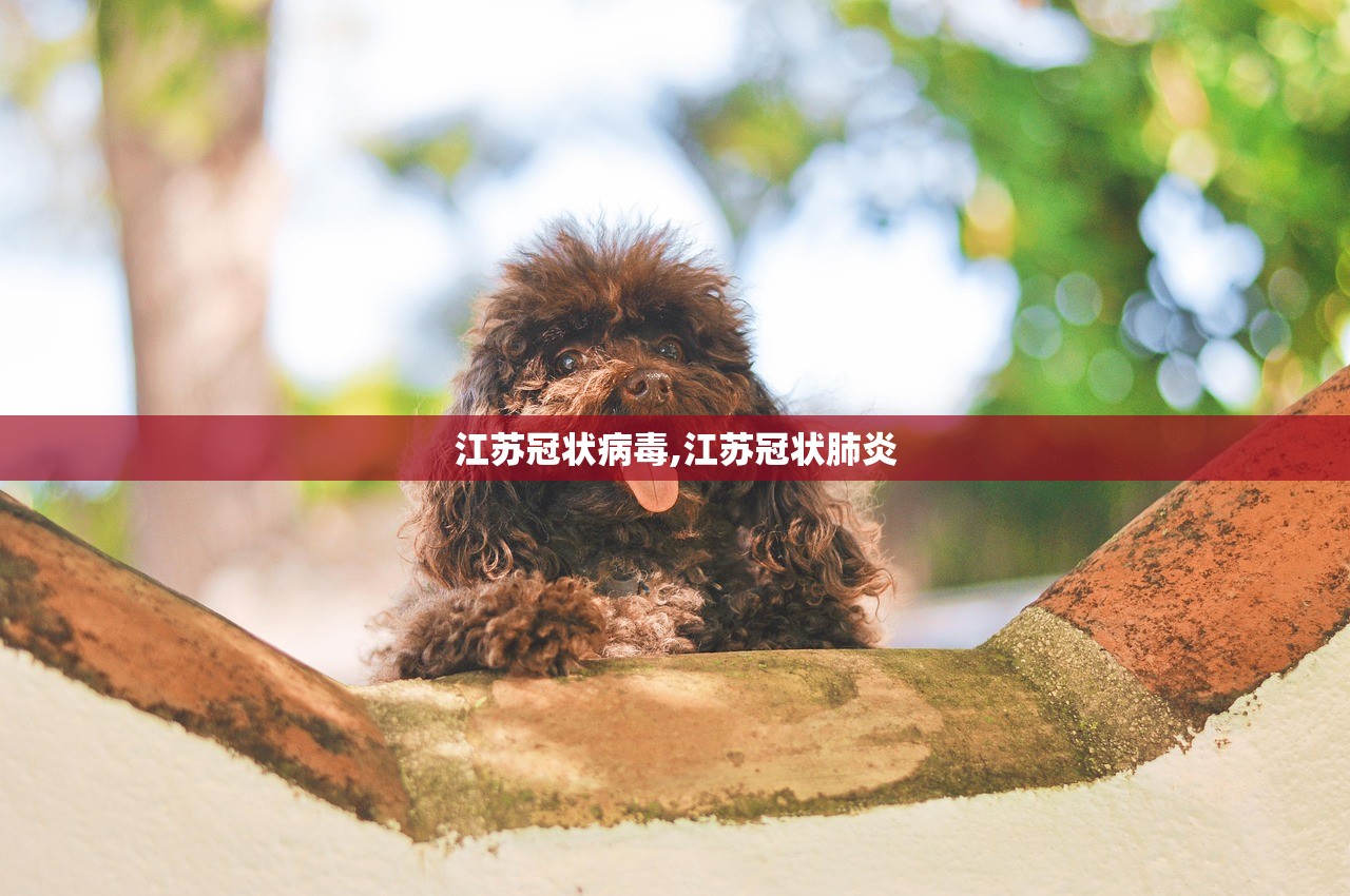 江苏冠状病毒,江苏冠状肺炎